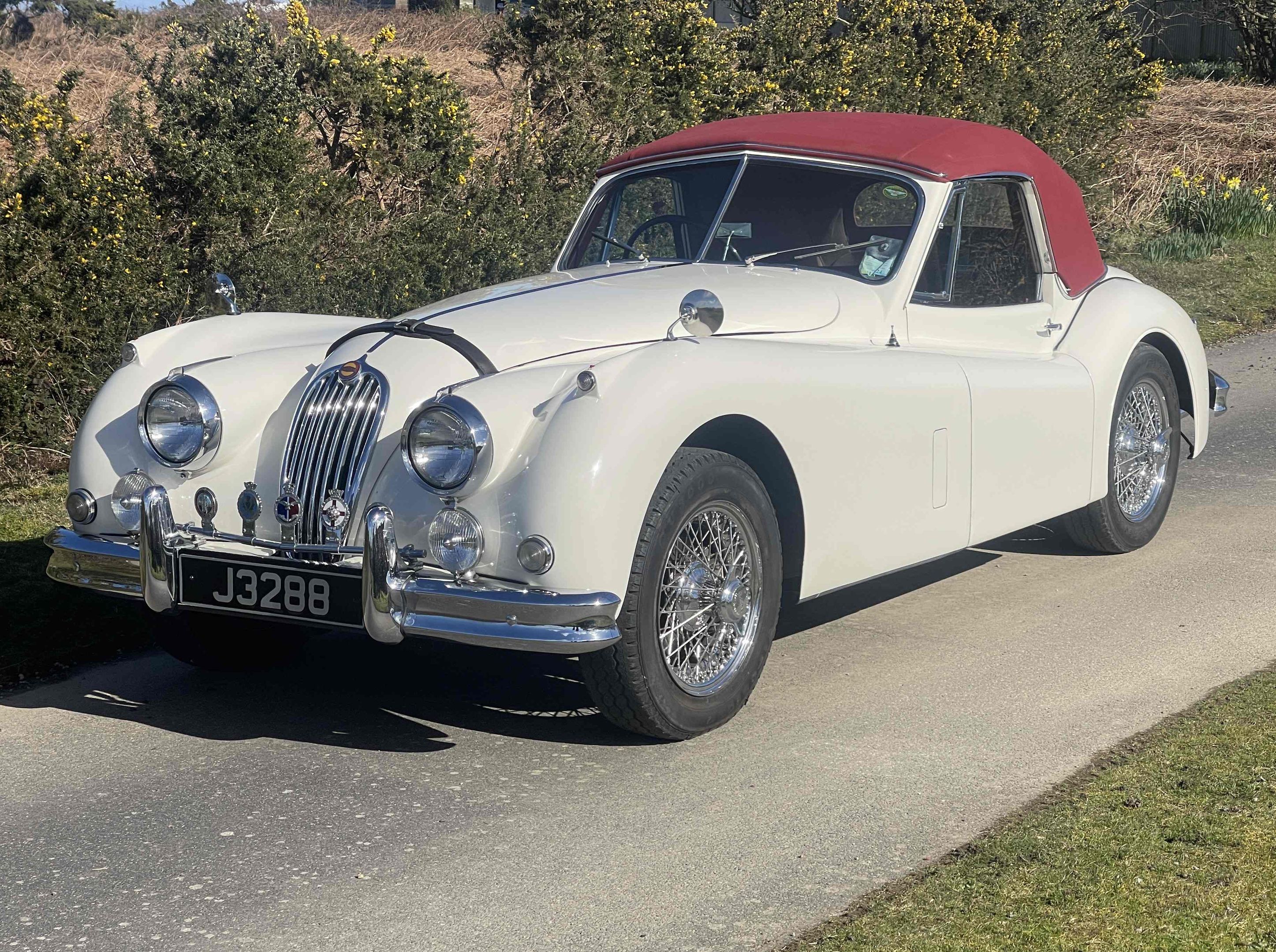 Jaguar XK140 SE DHC, foto 2