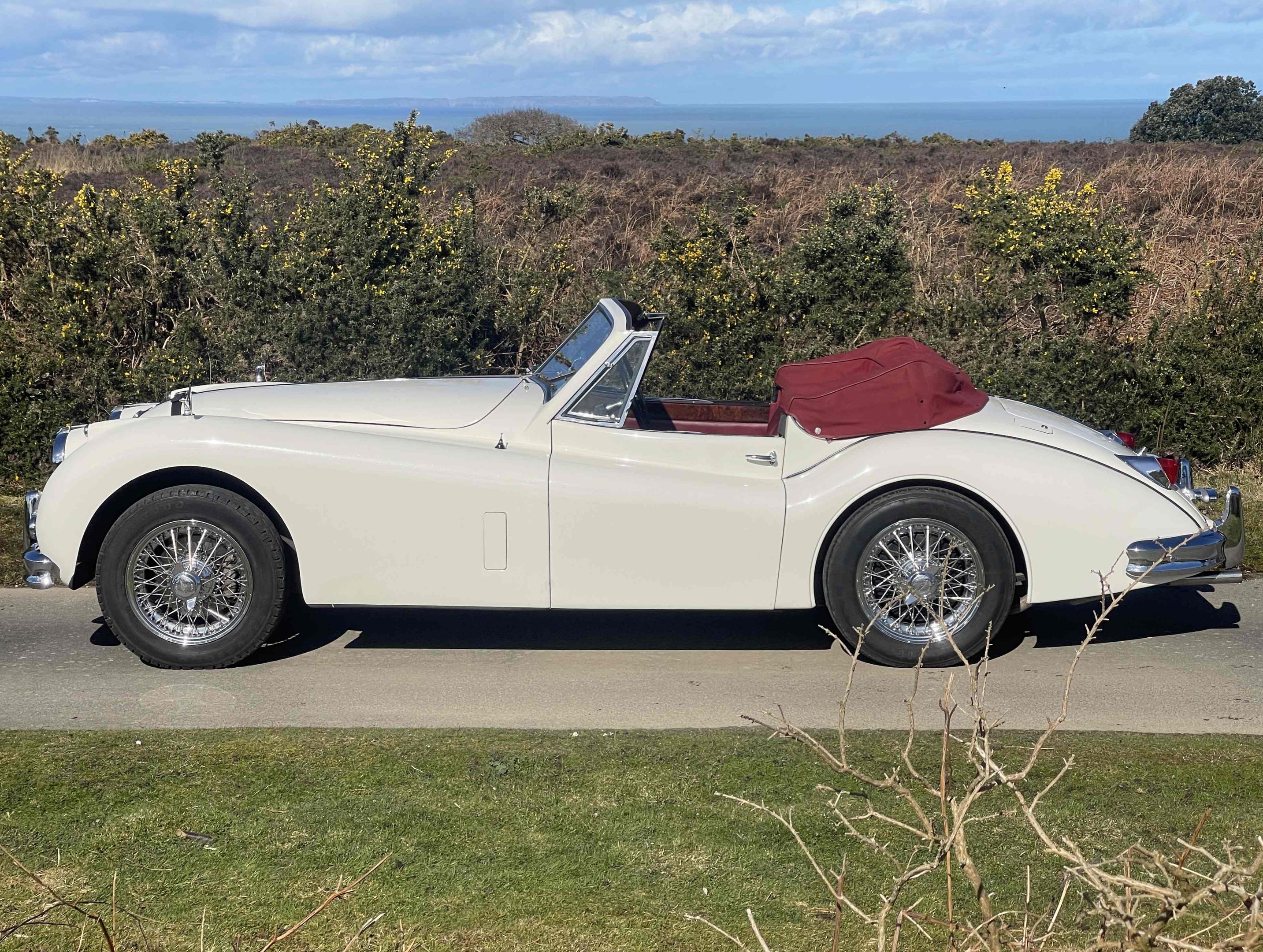 Jaguar XK140 SE DHC, foto 4