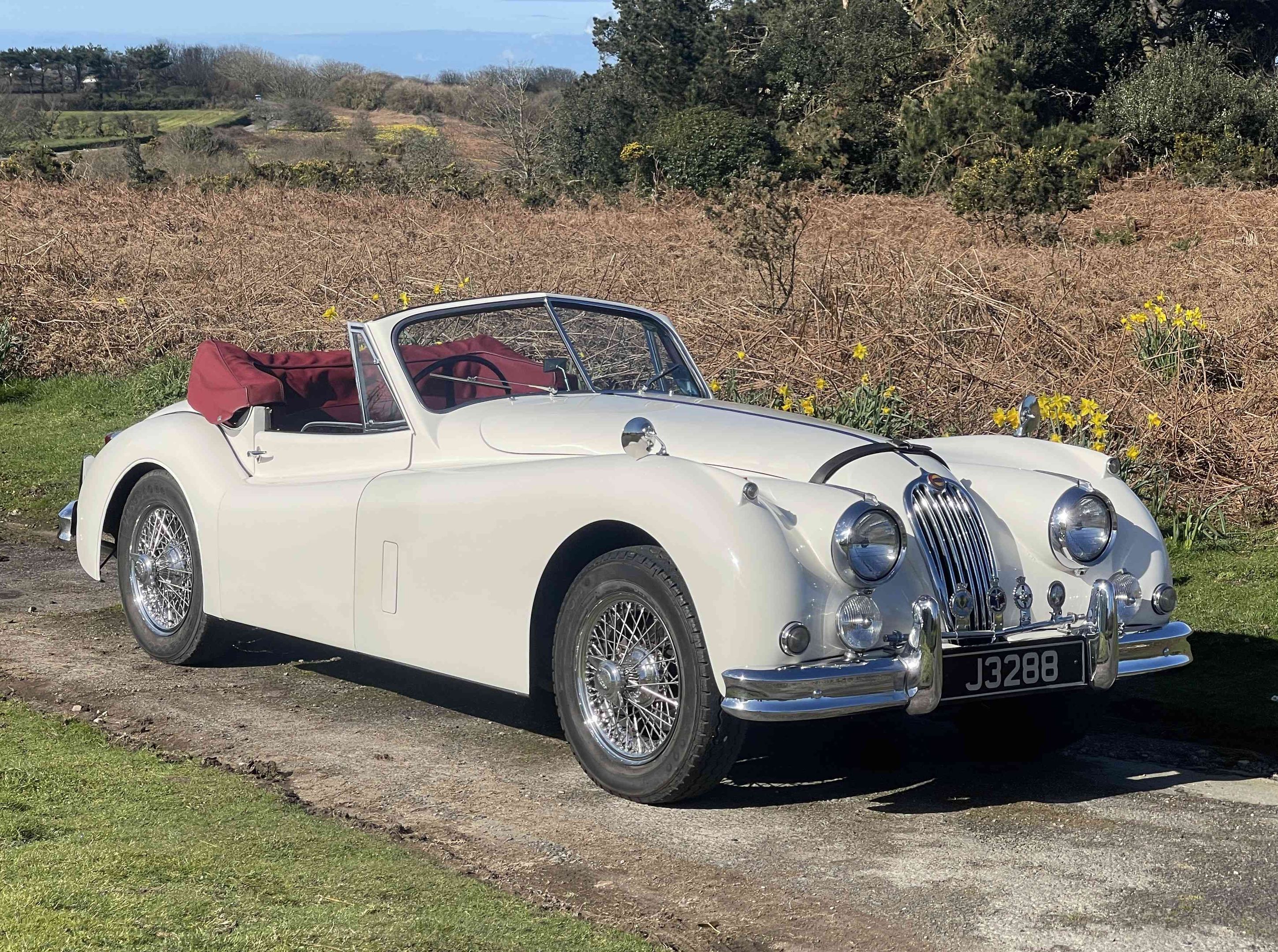 Jaguar XK140 SE DHC, foto 5