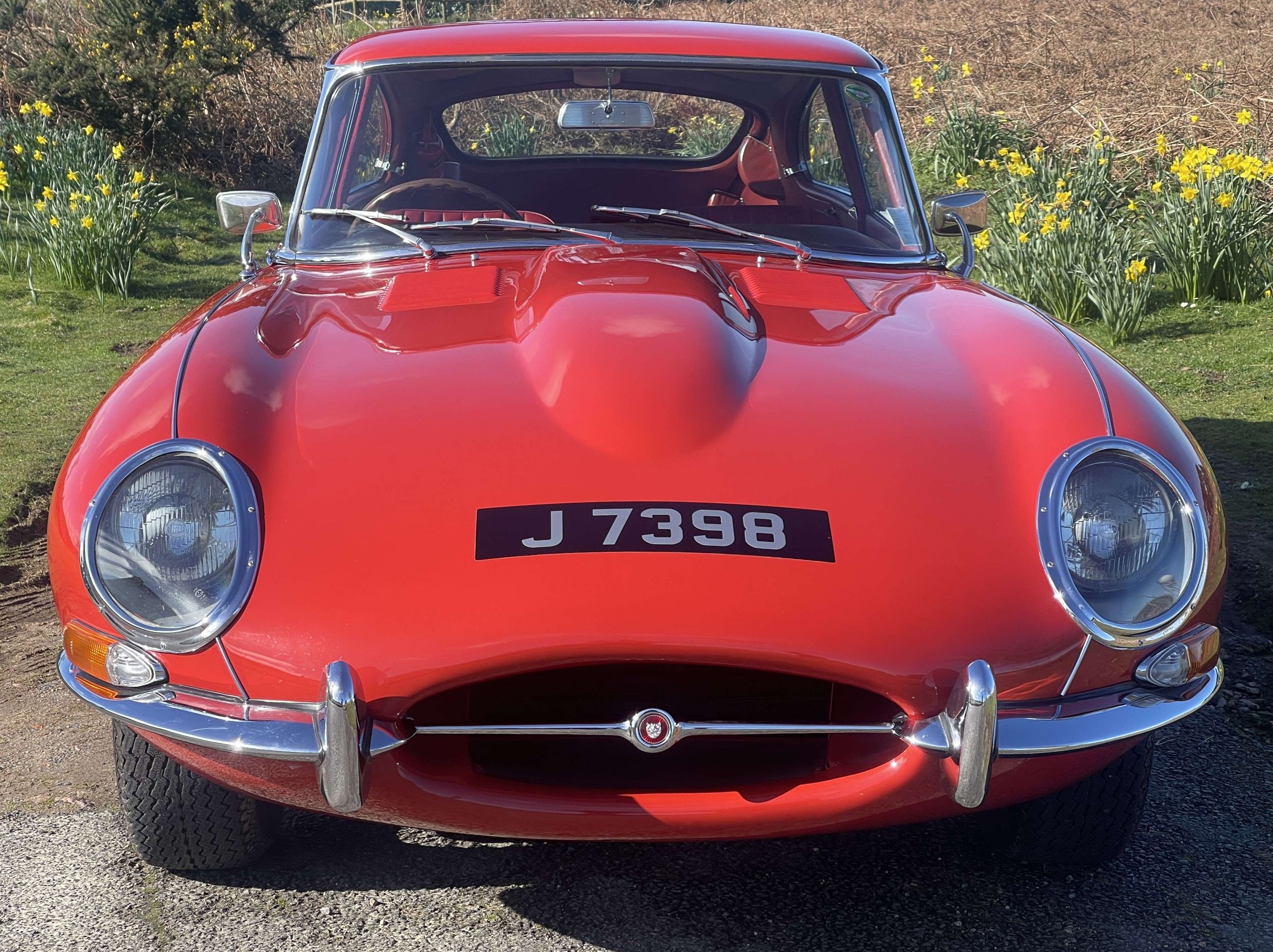 Jaguar E-Type Series 1 4.2 2+2 Coupe, foto 4