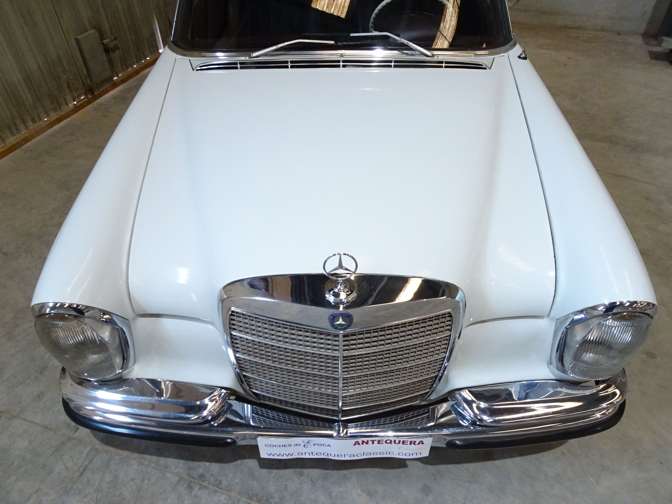 MERCEDES BENZ 280 SE/8 W108 - 1969, foto 4