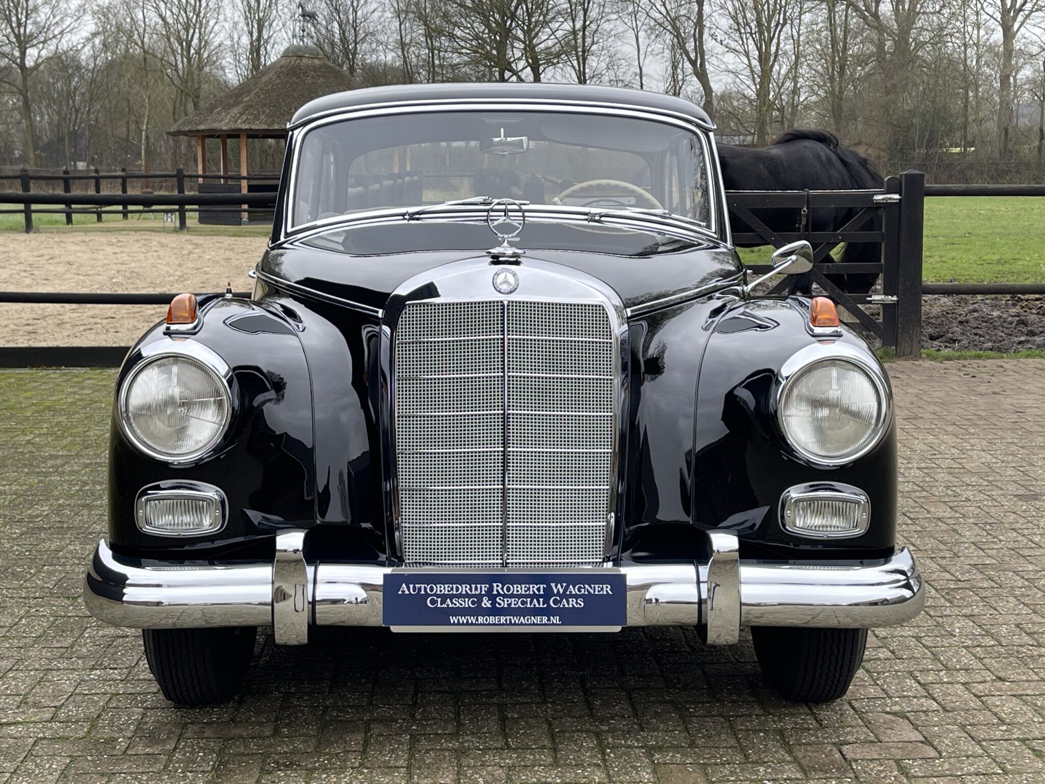 Mercedes-Benz 300 d "Adenauer", wonderful restored condition, foto 3