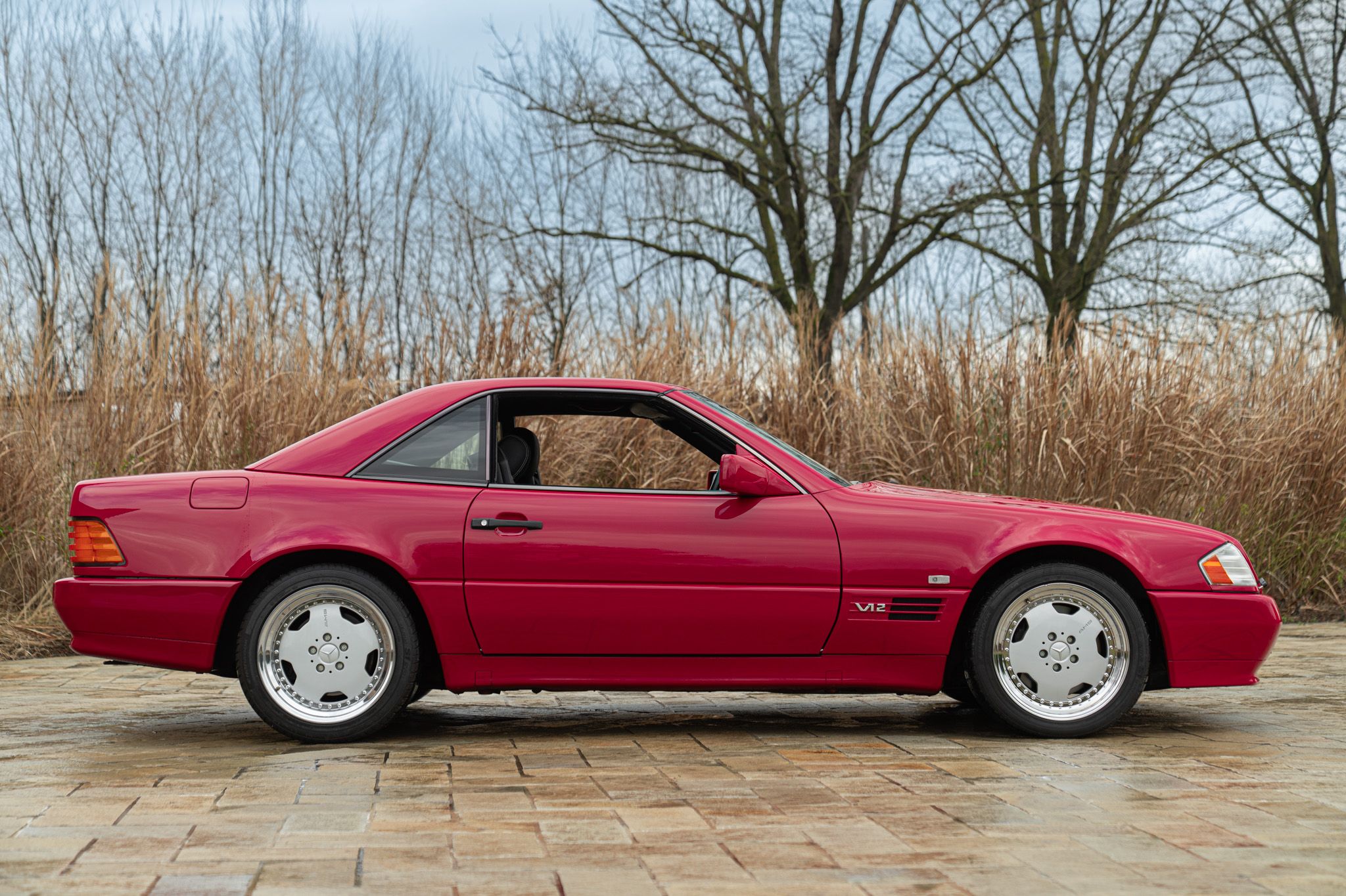 1994 MERCEDES-BENZ SL 600 V12, foto 2