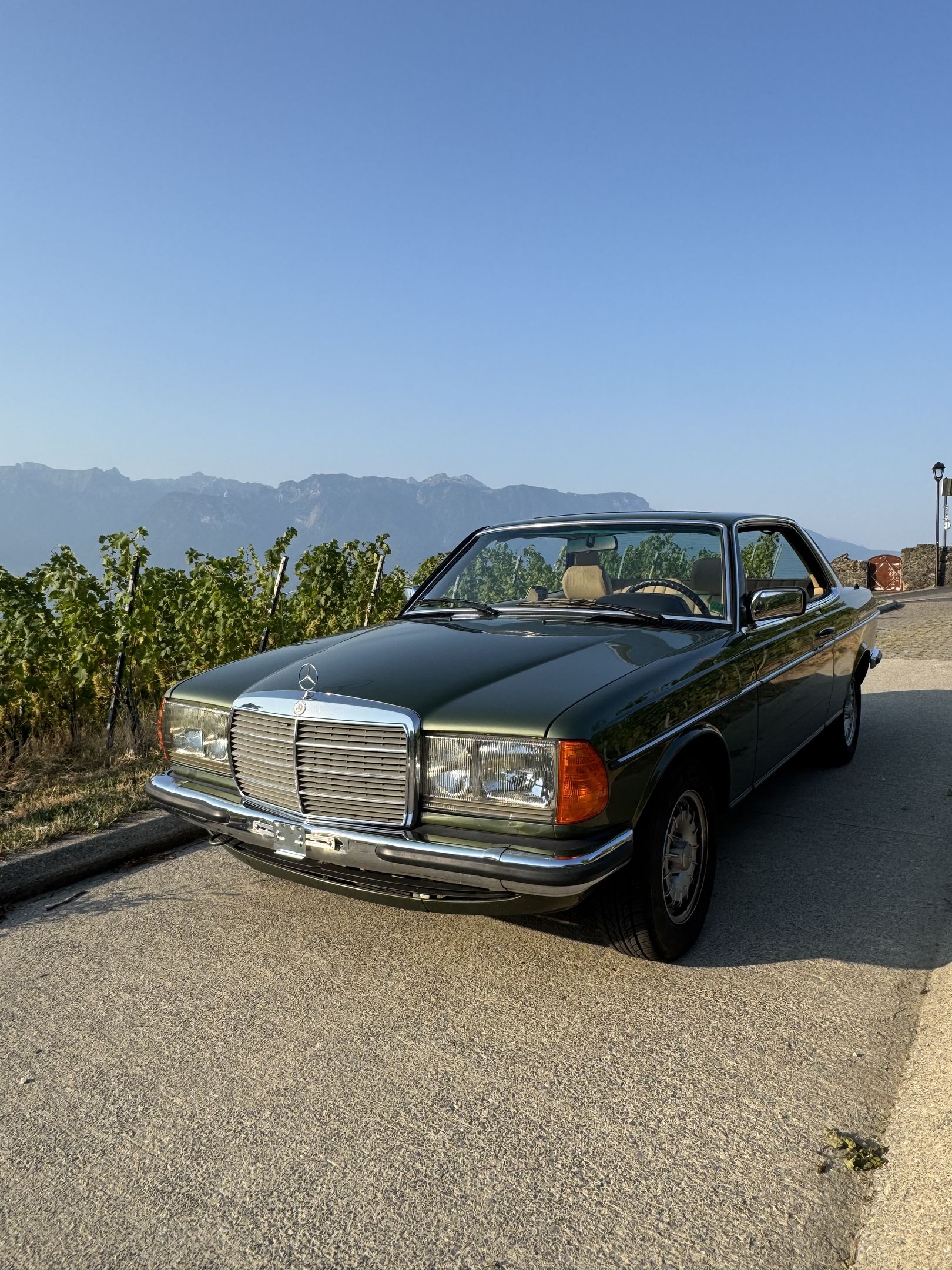 Mercedes-Benz 280 CE (W123) - 1984 - coupé, foto 1