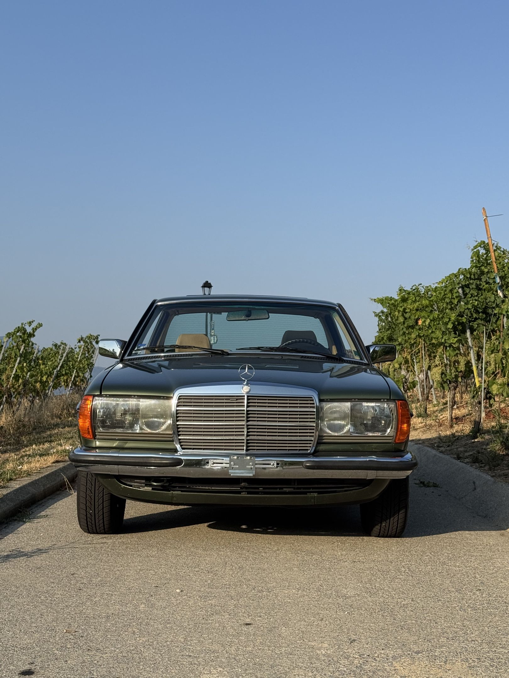 Mercedes-Benz 280 CE (W123) - 1984 - coupé, foto 2