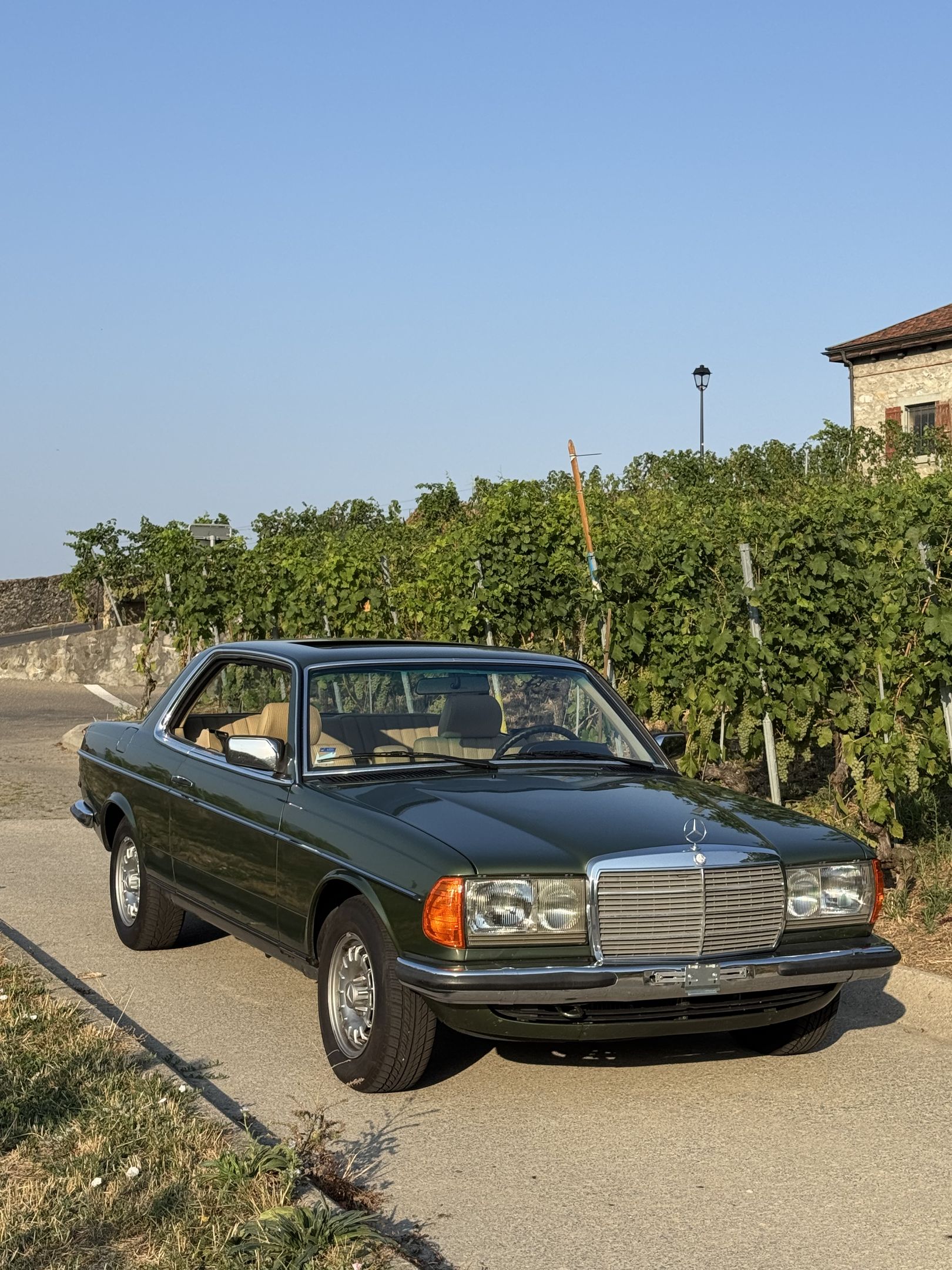 Mercedes-Benz 280 CE (W123) - 1984 - coupé, foto 3
