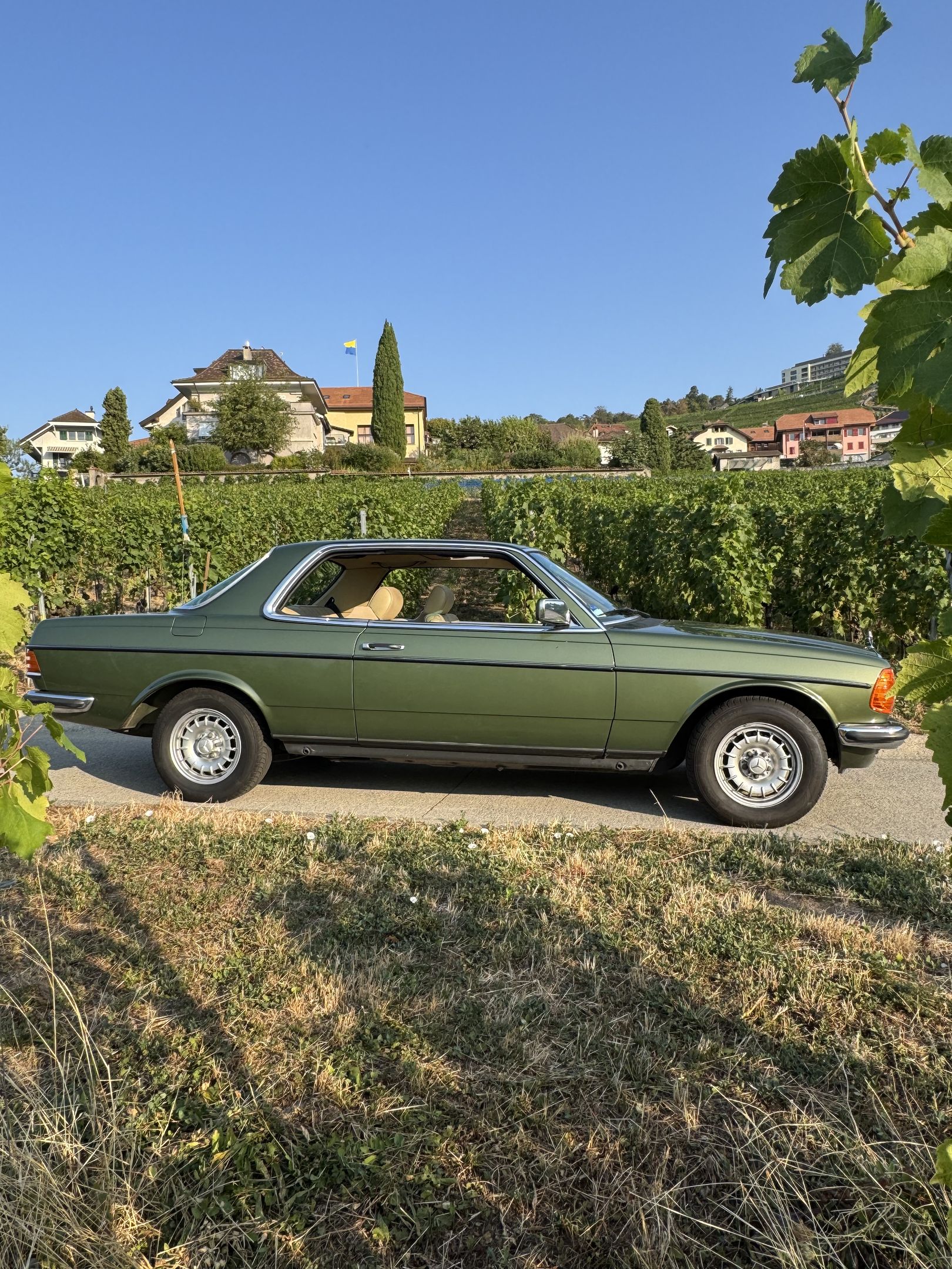 Mercedes-Benz 280 CE (W123) - 1984 - coupé, foto 4