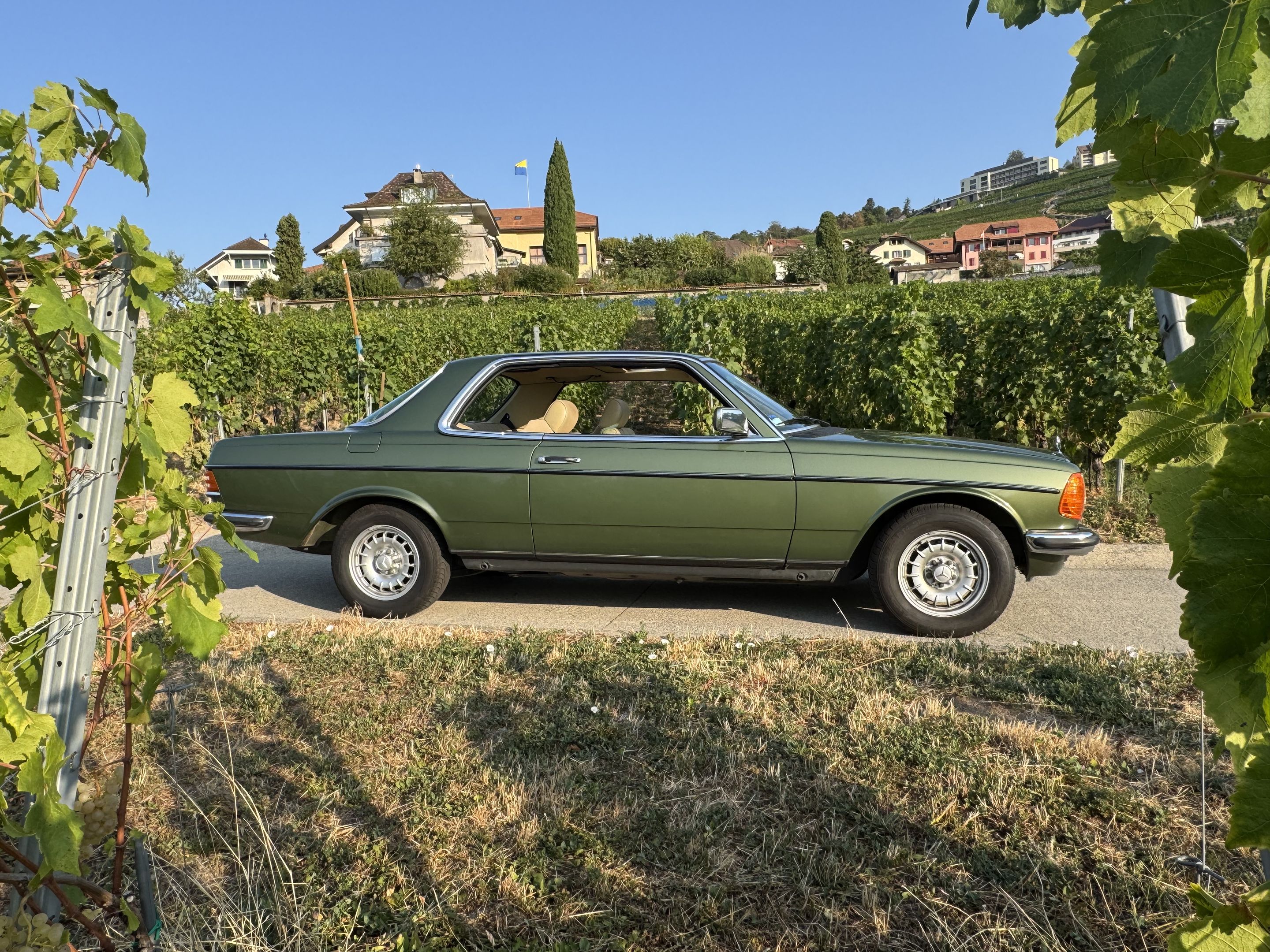 Mercedes-Benz 280 CE (W123) - 1984 - coupé, foto 5