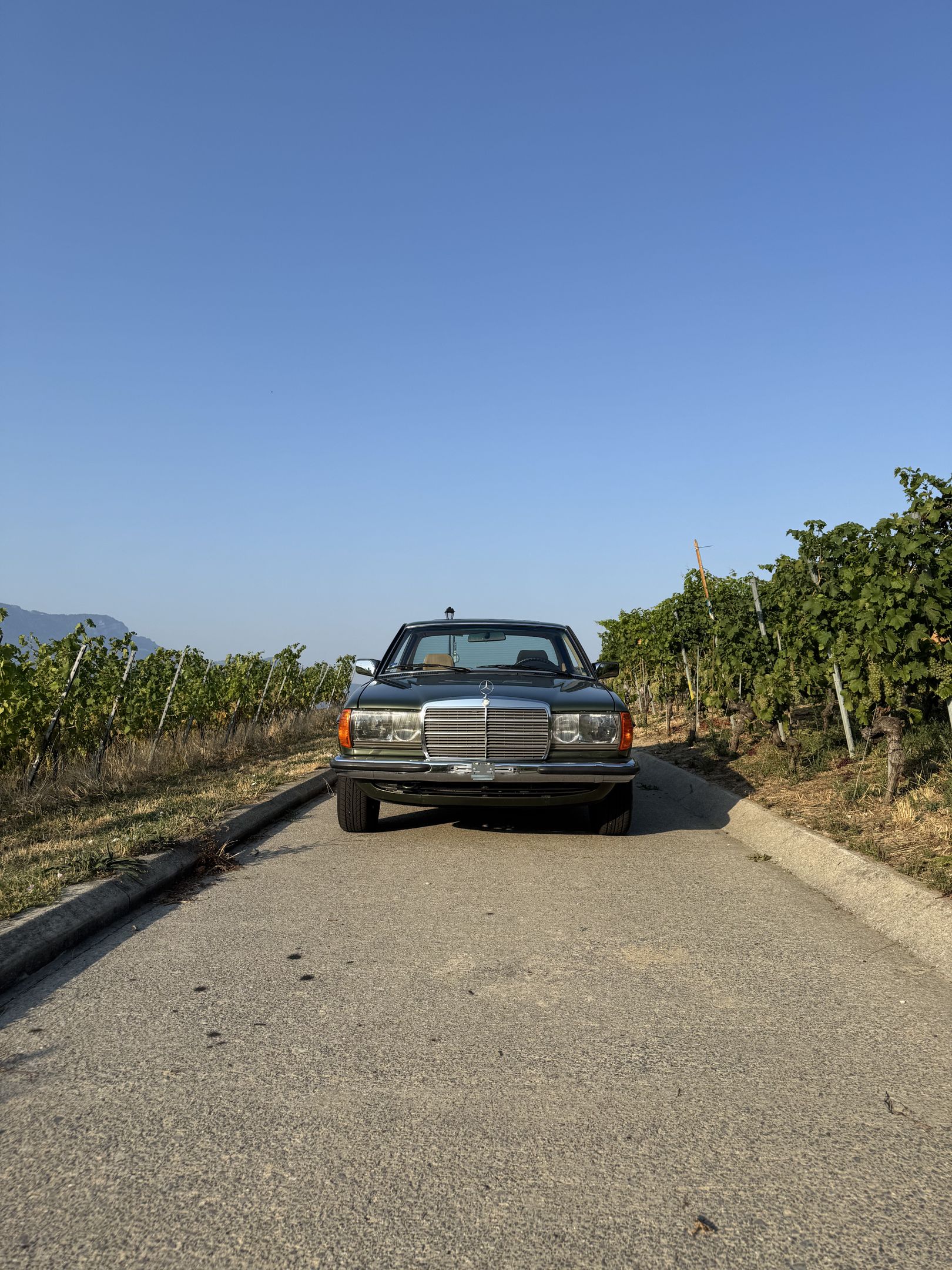 Mercedes-Benz 280 CE (W123) - 1984 - coupé, foto 6