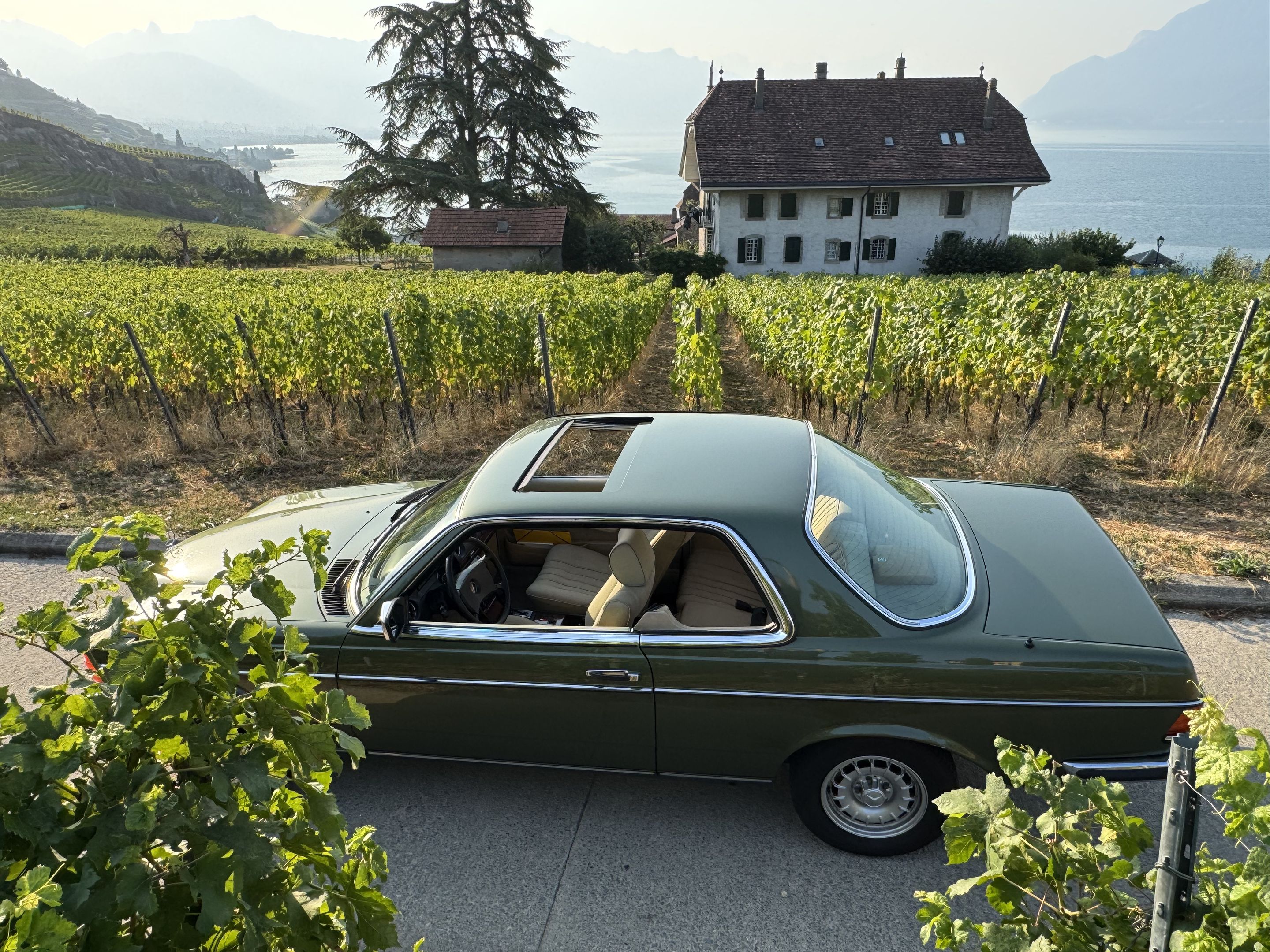 Mercedes-Benz 280 CE (W123) - 1984 - coupé, foto 10