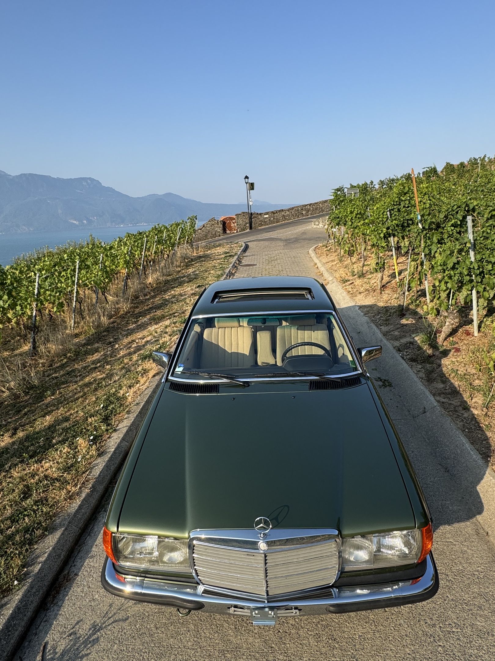Mercedes-Benz 280 CE (W123) - 1984 - coupé, foto 11