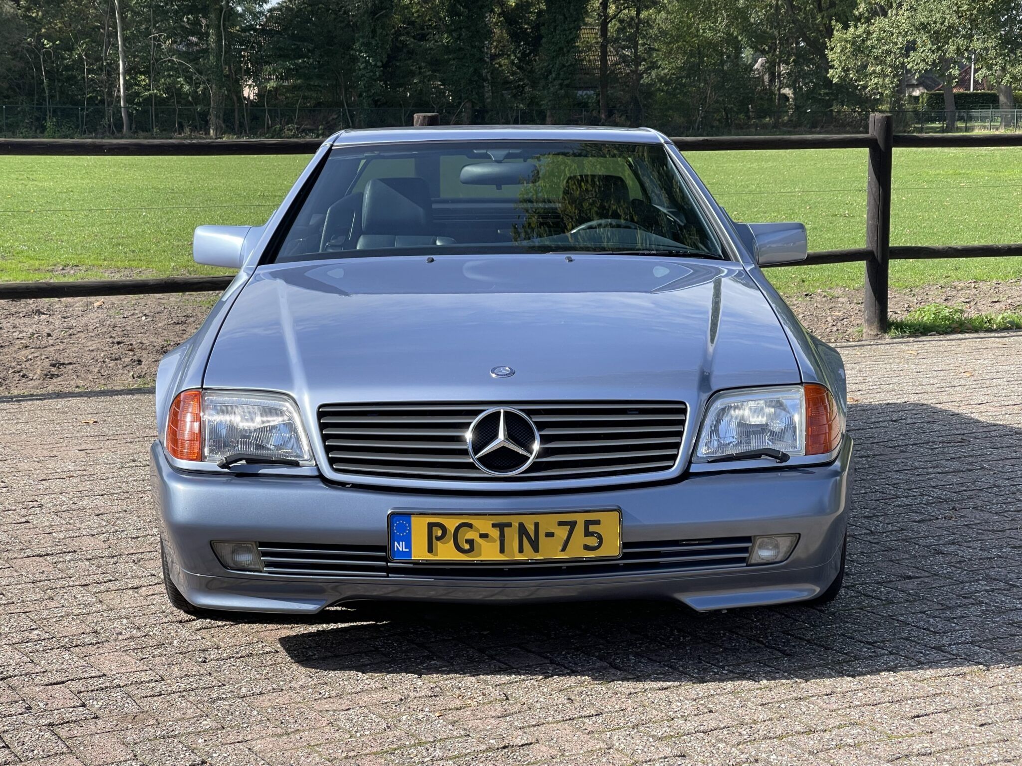1992 Mercedes SL Class R129 500 SL Diamont Blue, foto 6
