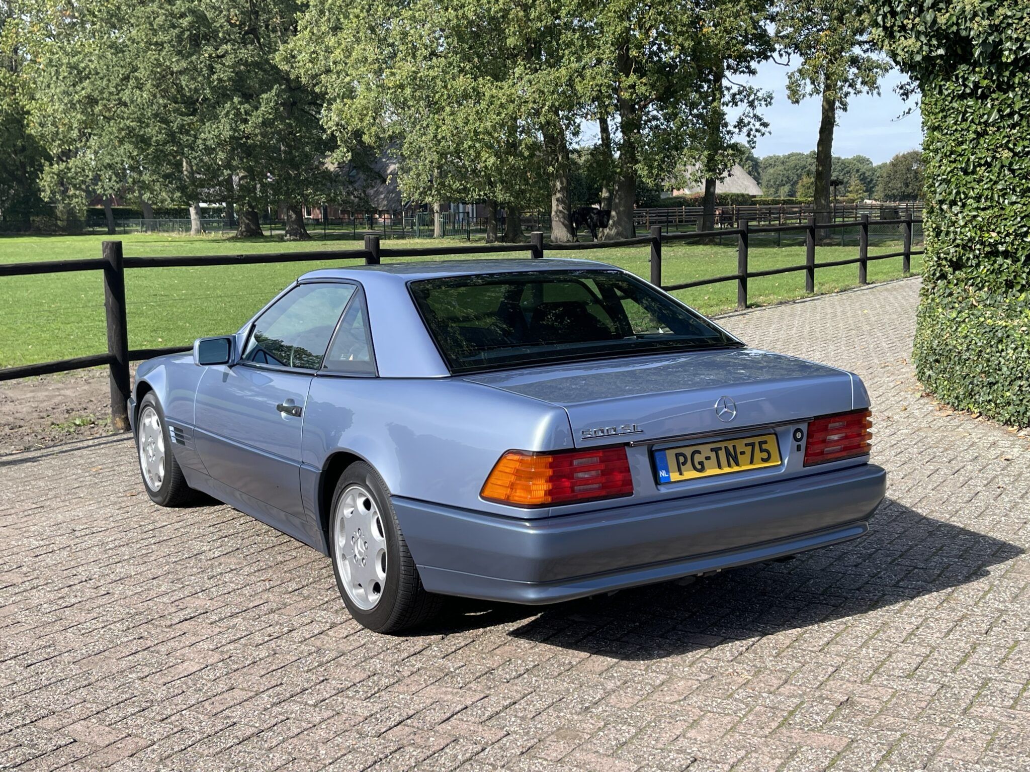 1992 Mercedes SL Class R129 500 SL Diamont Blue, foto 9