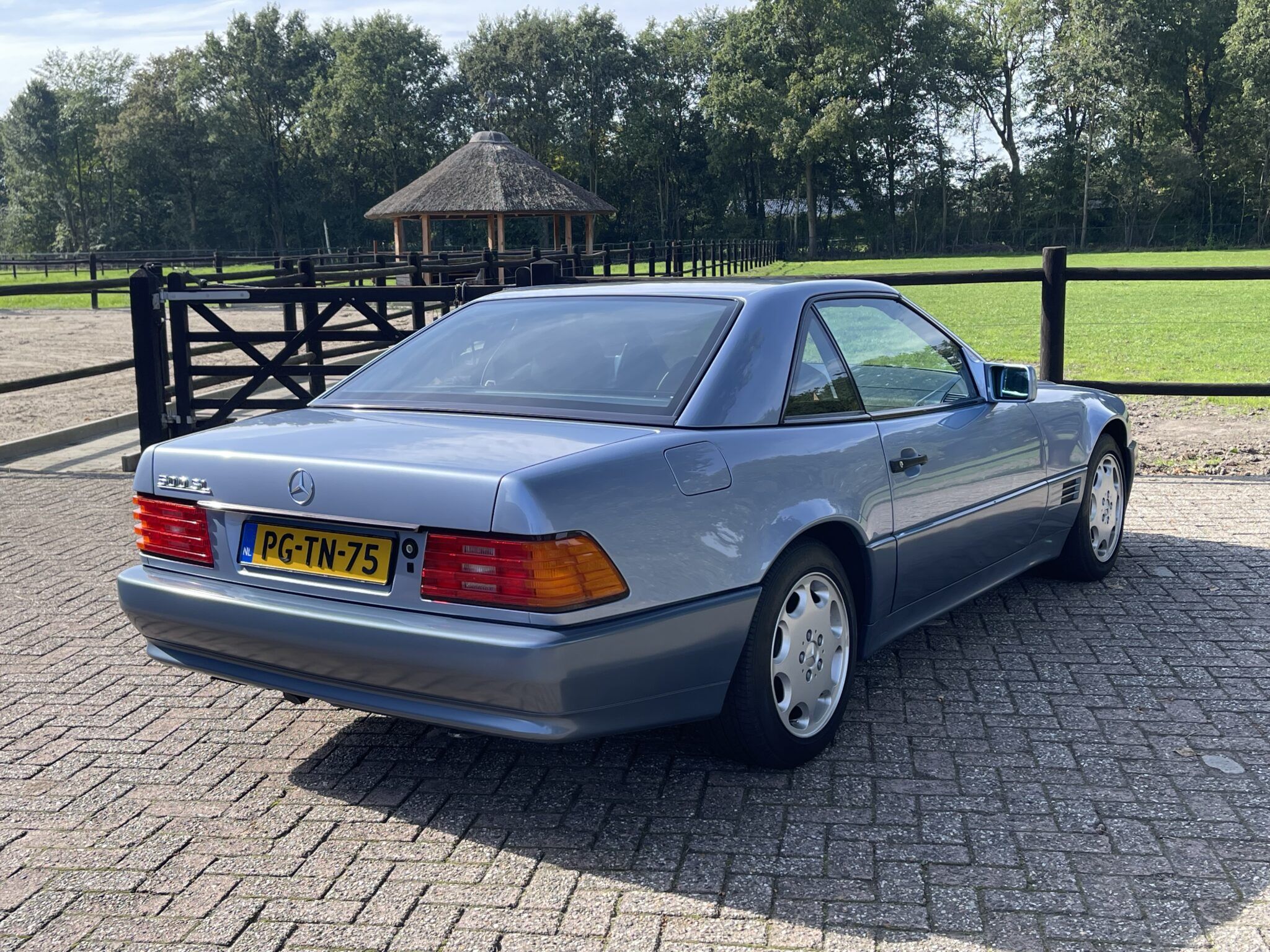 1992 Mercedes SL Class R129 500 SL Diamont Blue, foto 11