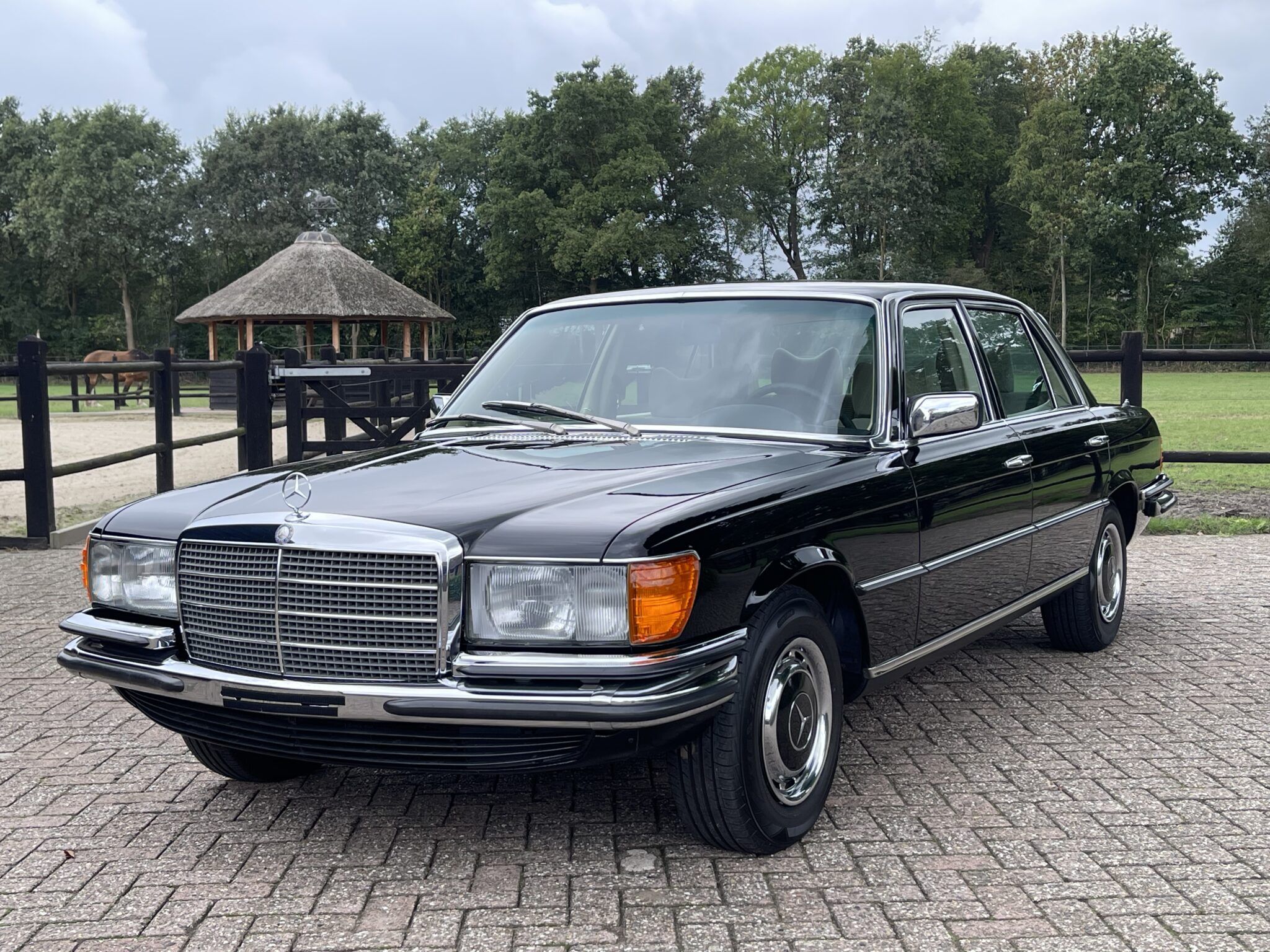 1977 Mercedes S Class 450 SEL only 112.000 kms, foto 3
