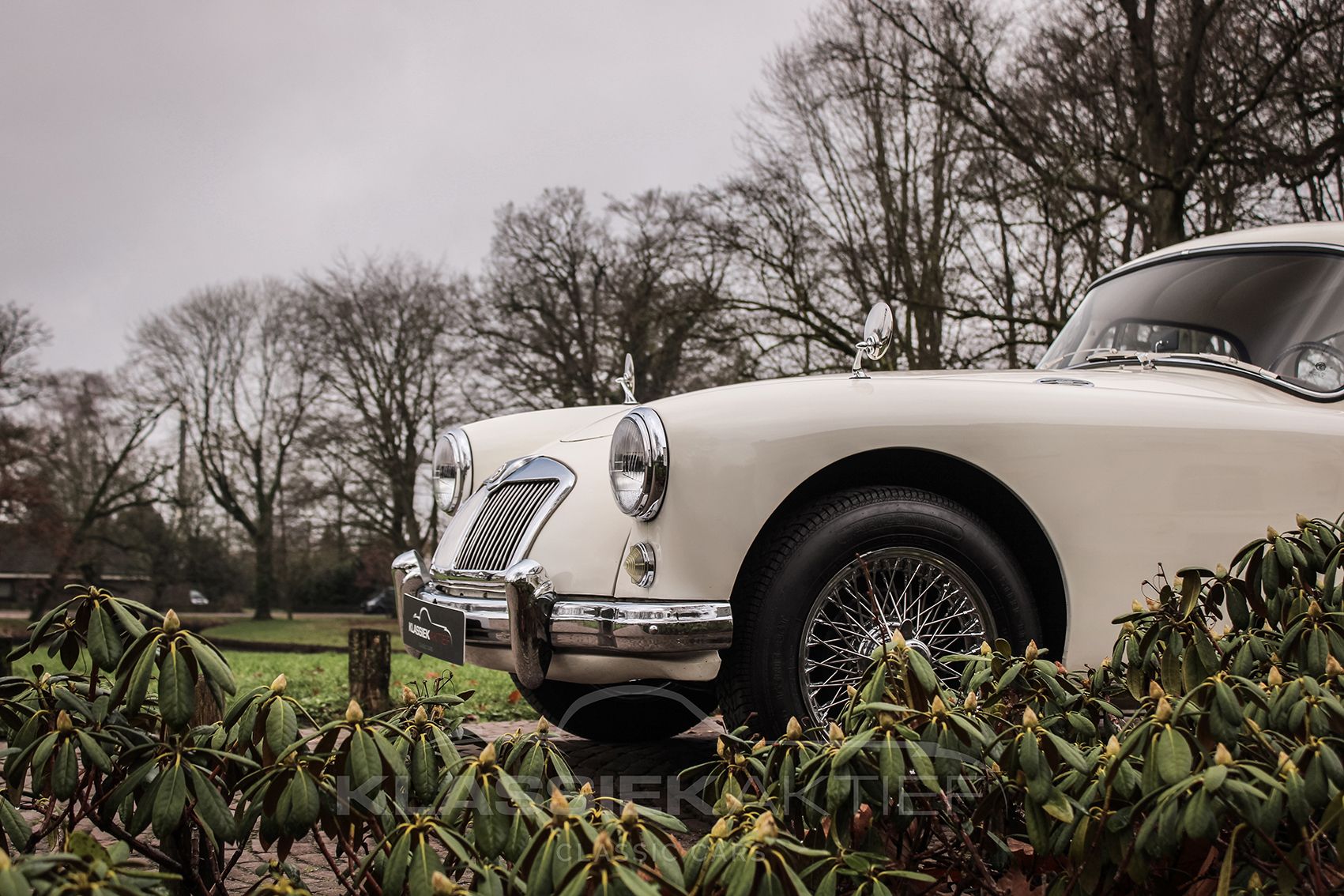 Beautiful MGA Coupe 1500 MK1, foto 3