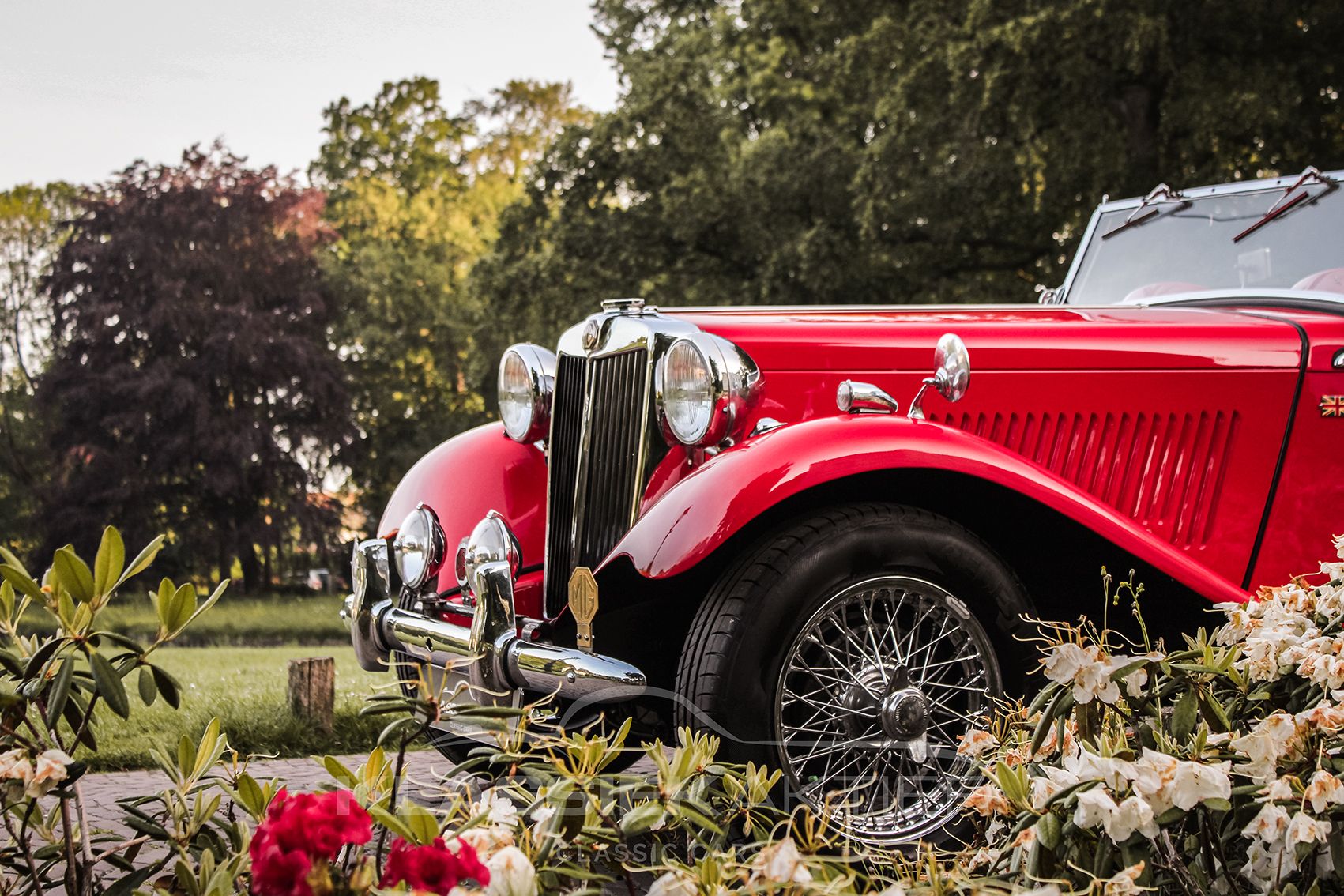 1952 MG TD, foto 3