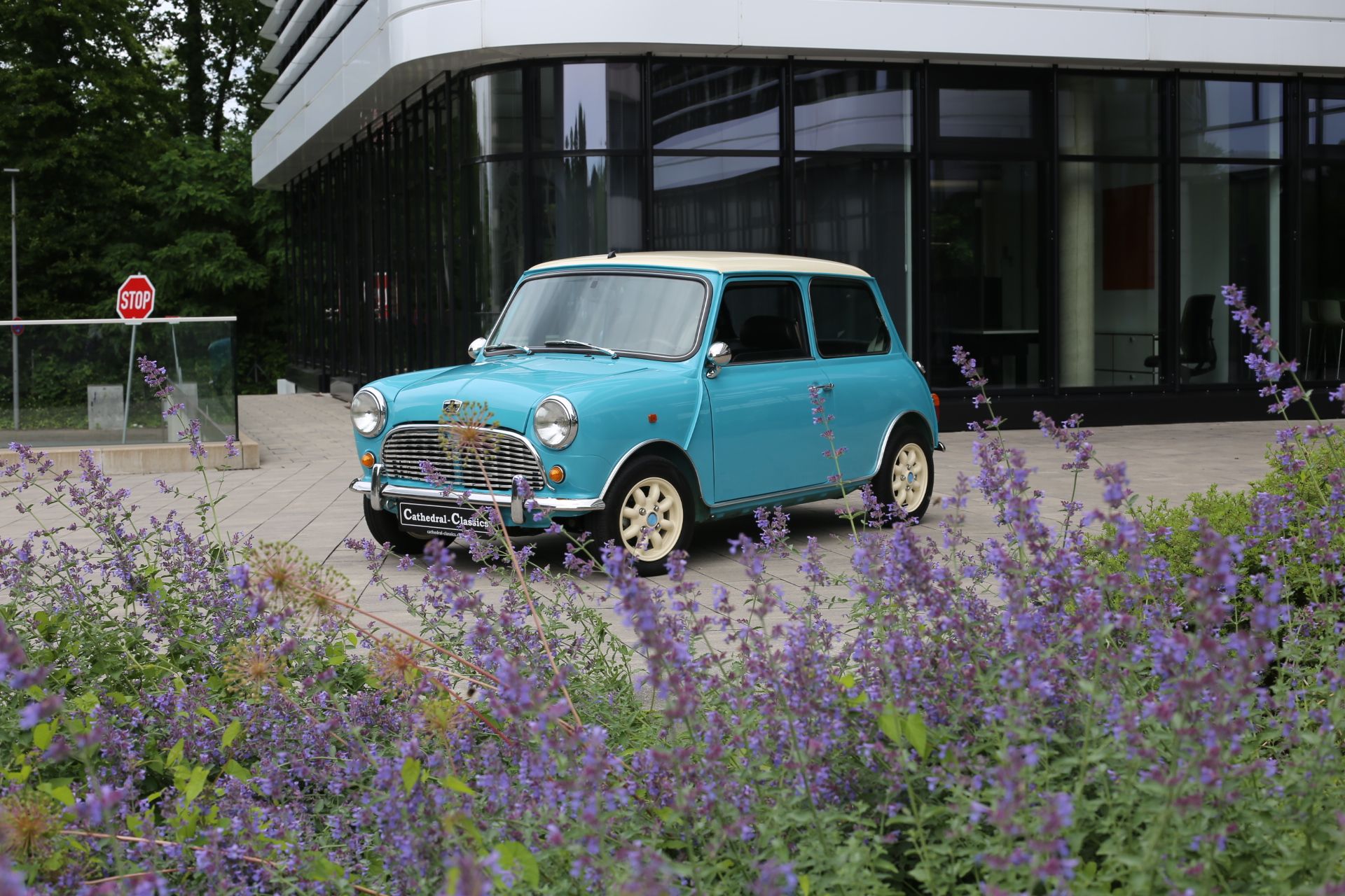 1997 Mini Classic Cooper Saloon, foto 6