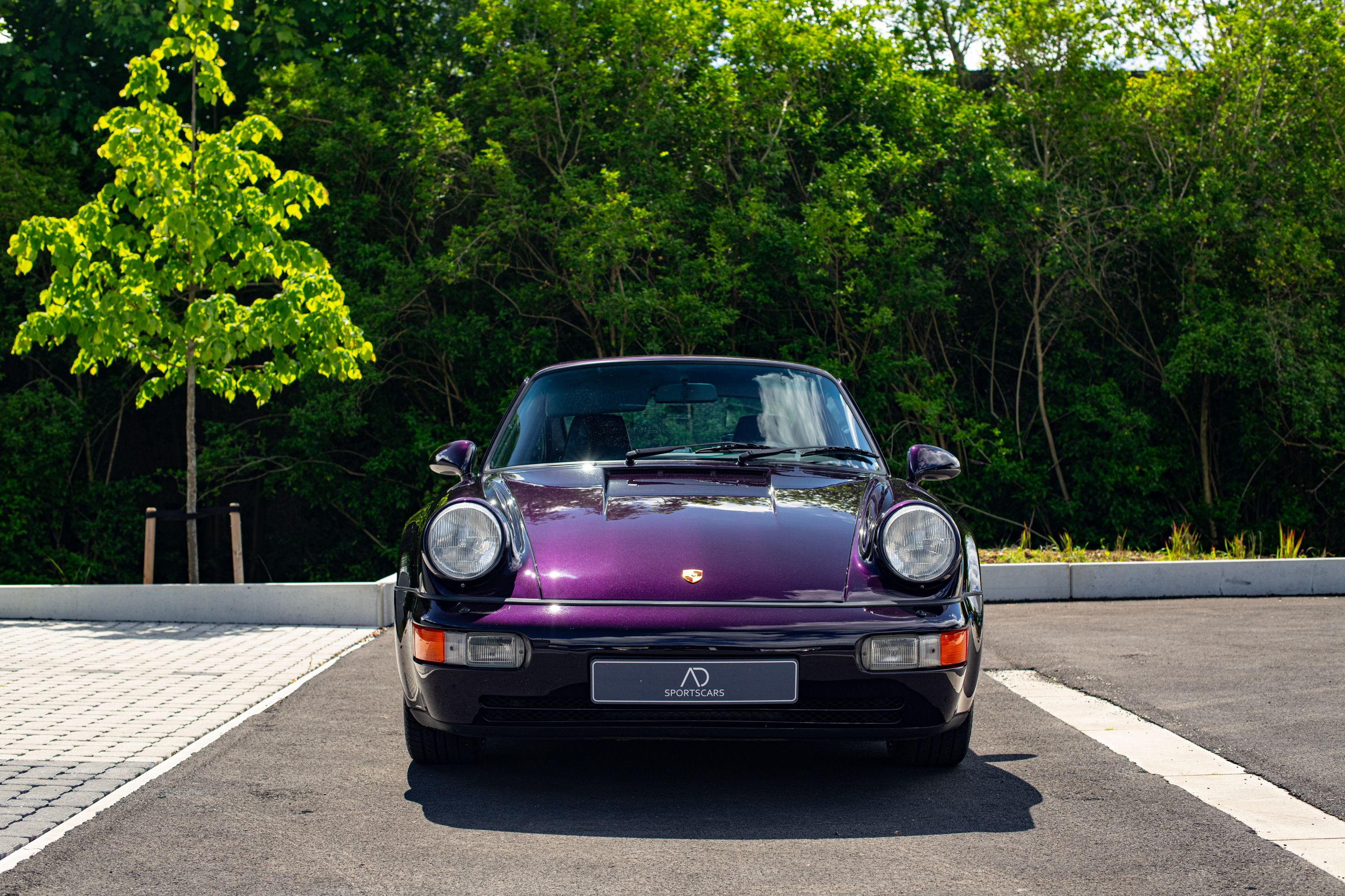 Porsche 964 Jubilee #273 | Freshly Serviced | PPF, foto 3