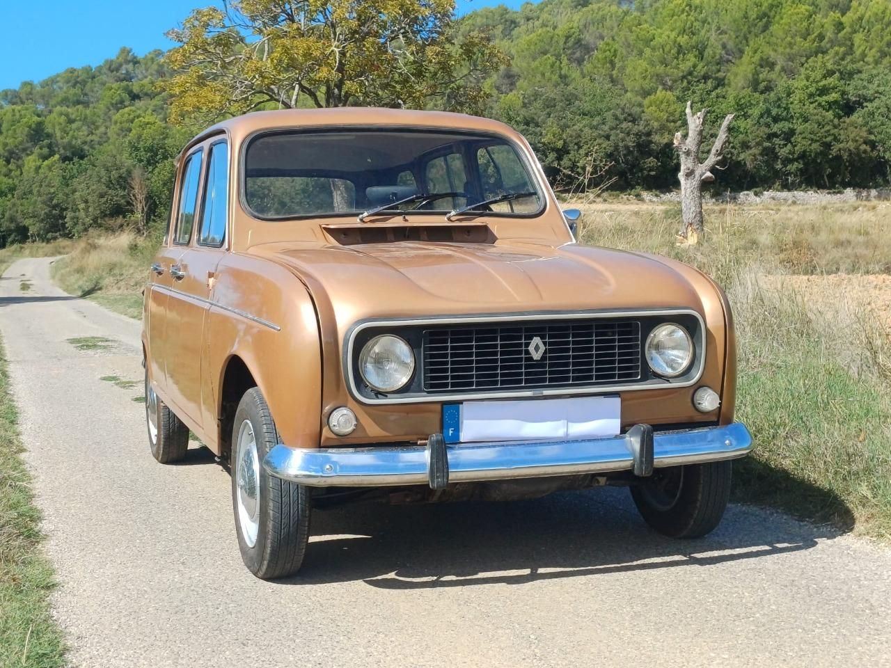 1976 RENAULT 4L (R4L) 117300 kms, foto 1