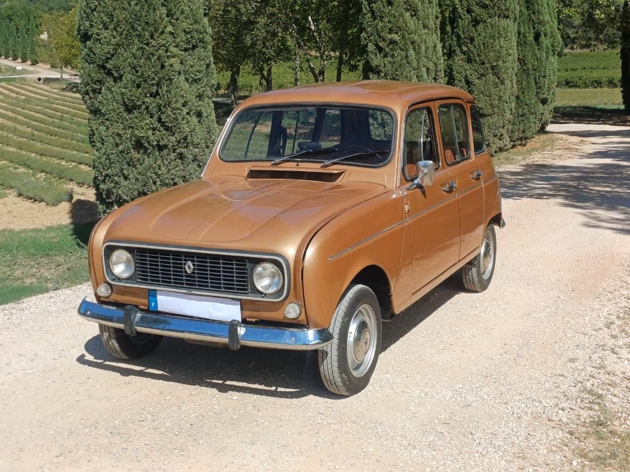 1976 RENAULT 4L (R4L) 117300 kms, foto 2