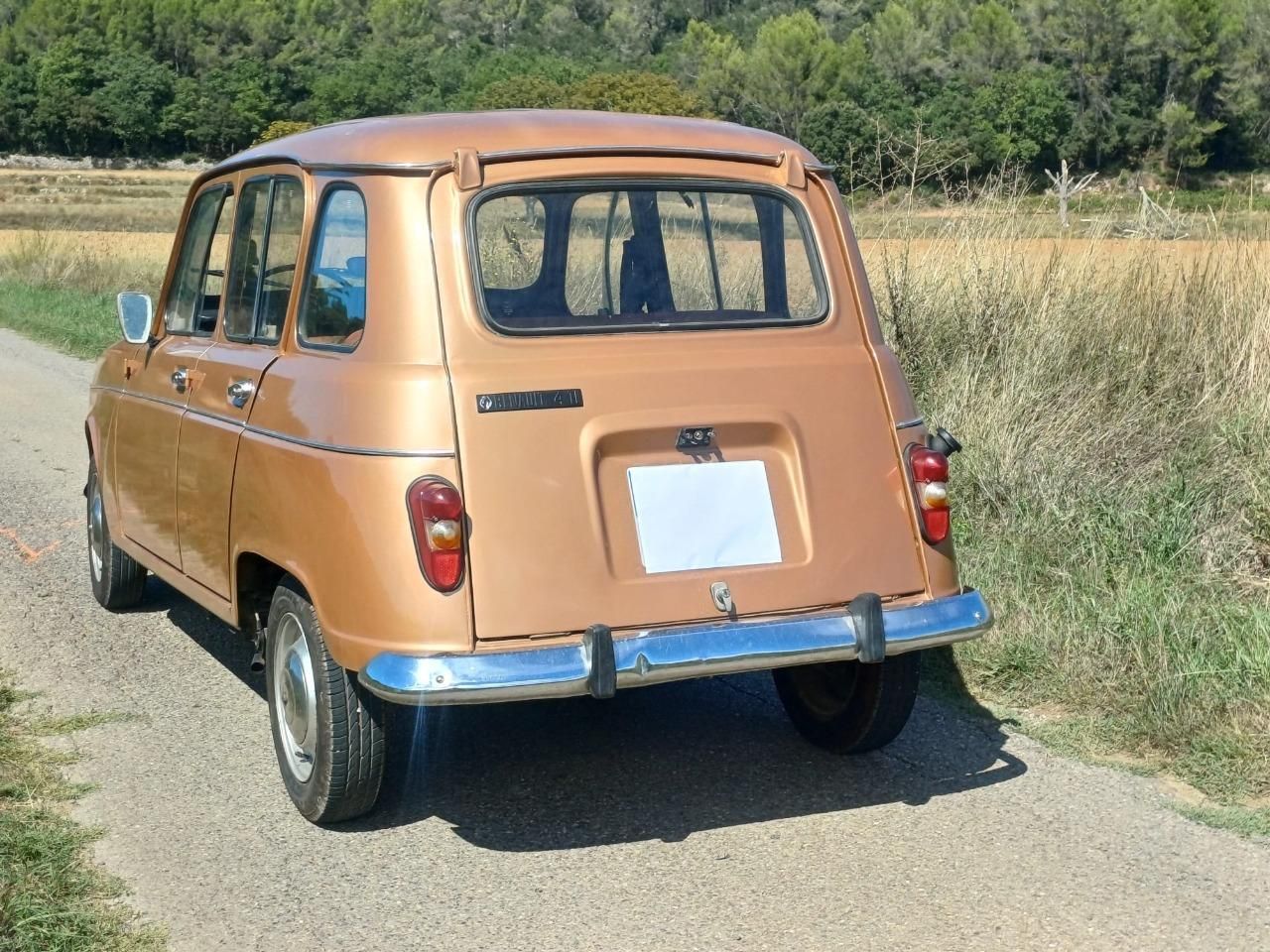 1976 RENAULT 4L (R4L) 117300 kms, foto 5