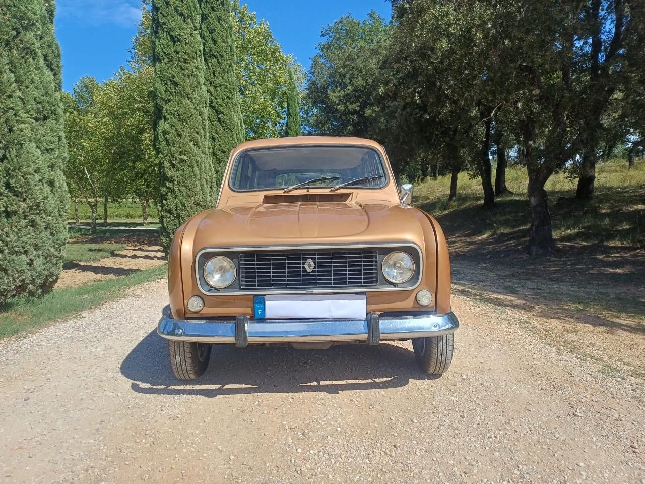 1976 RENAULT 4L (R4L) 117300 kms, foto 7