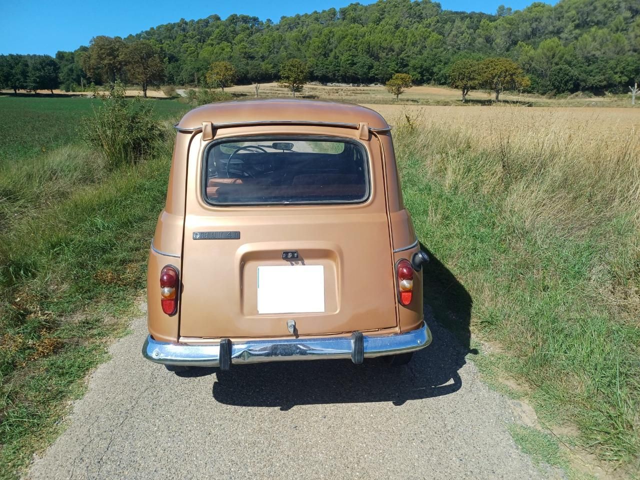 1976 RENAULT 4L (R4L) 117300 kms, foto 8
