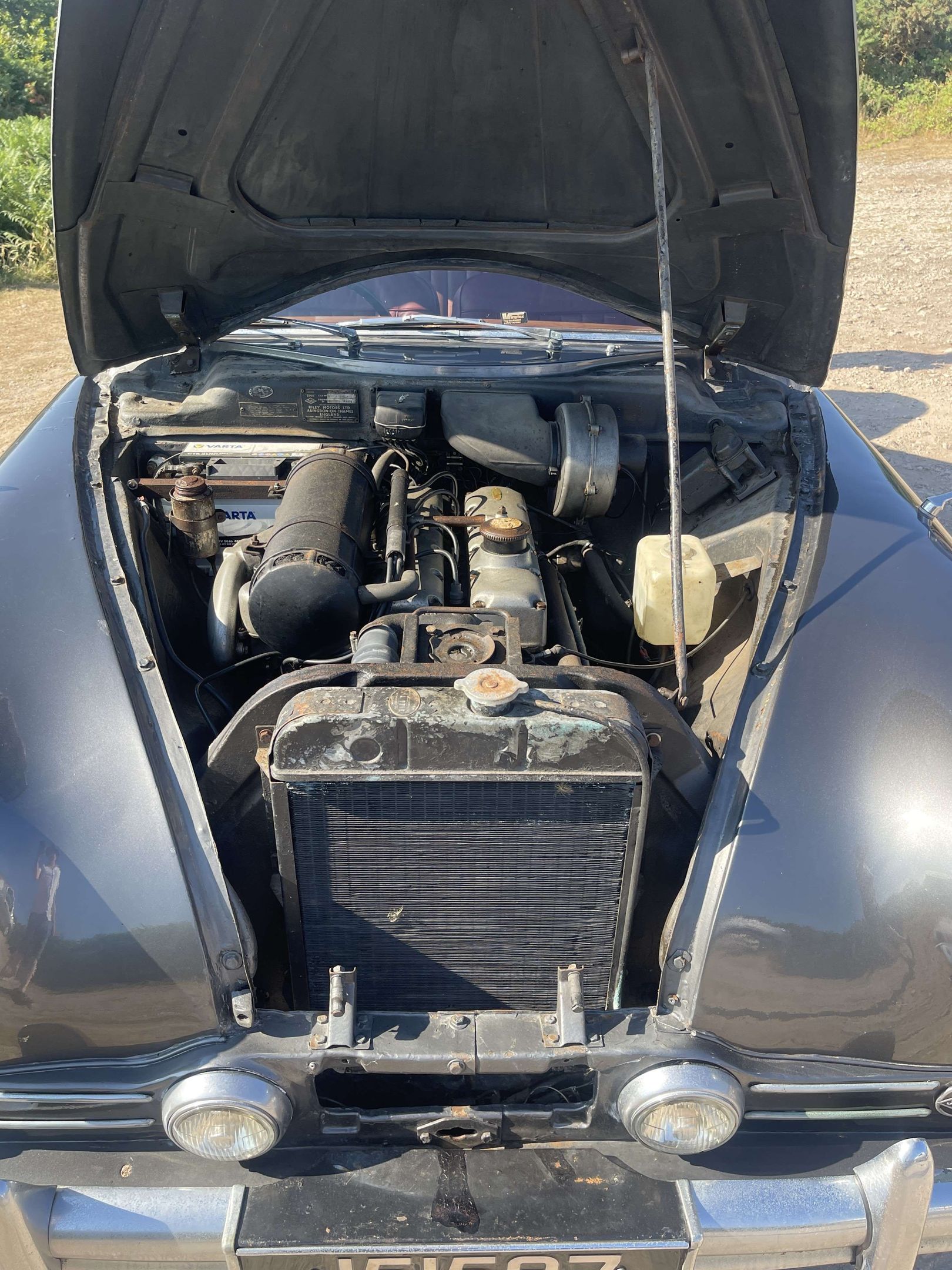 1956 Riley Pathfinder, foto 11