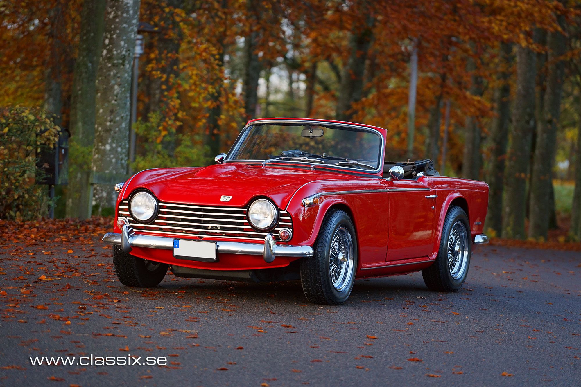 Triumph TR5 European model, foto 1