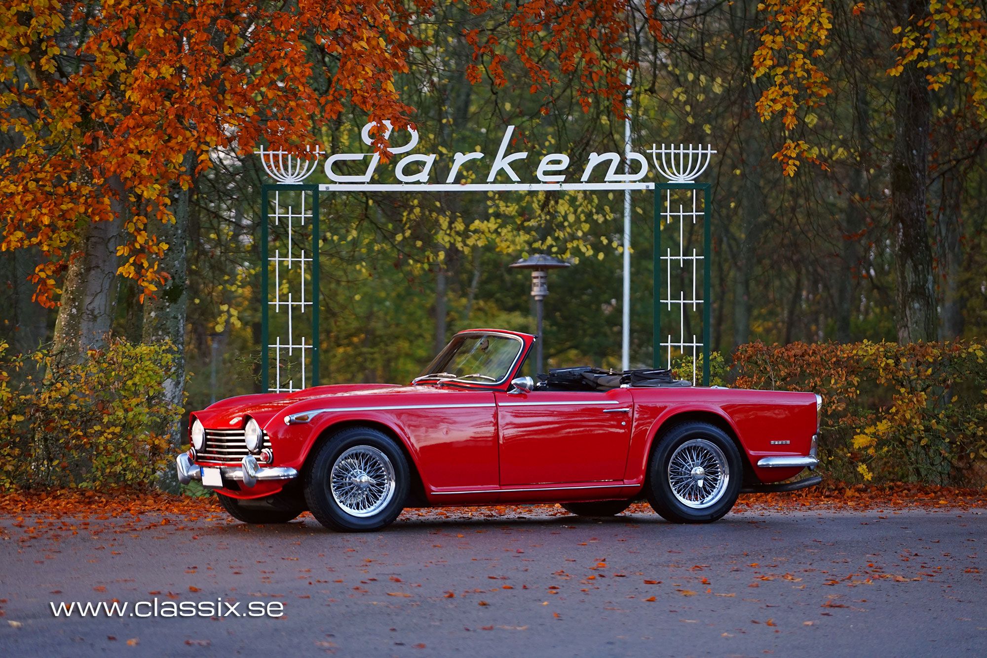 Triumph TR5 European model, foto 3