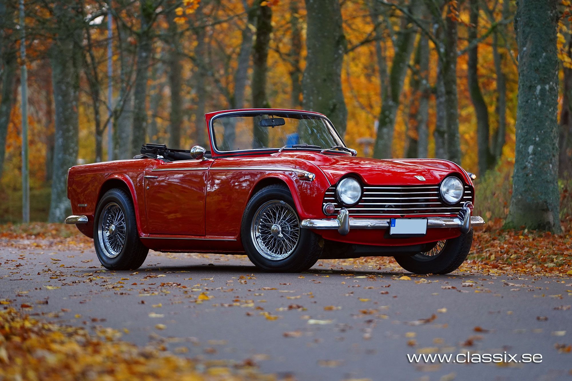 Triumph TR5 European model, foto 4