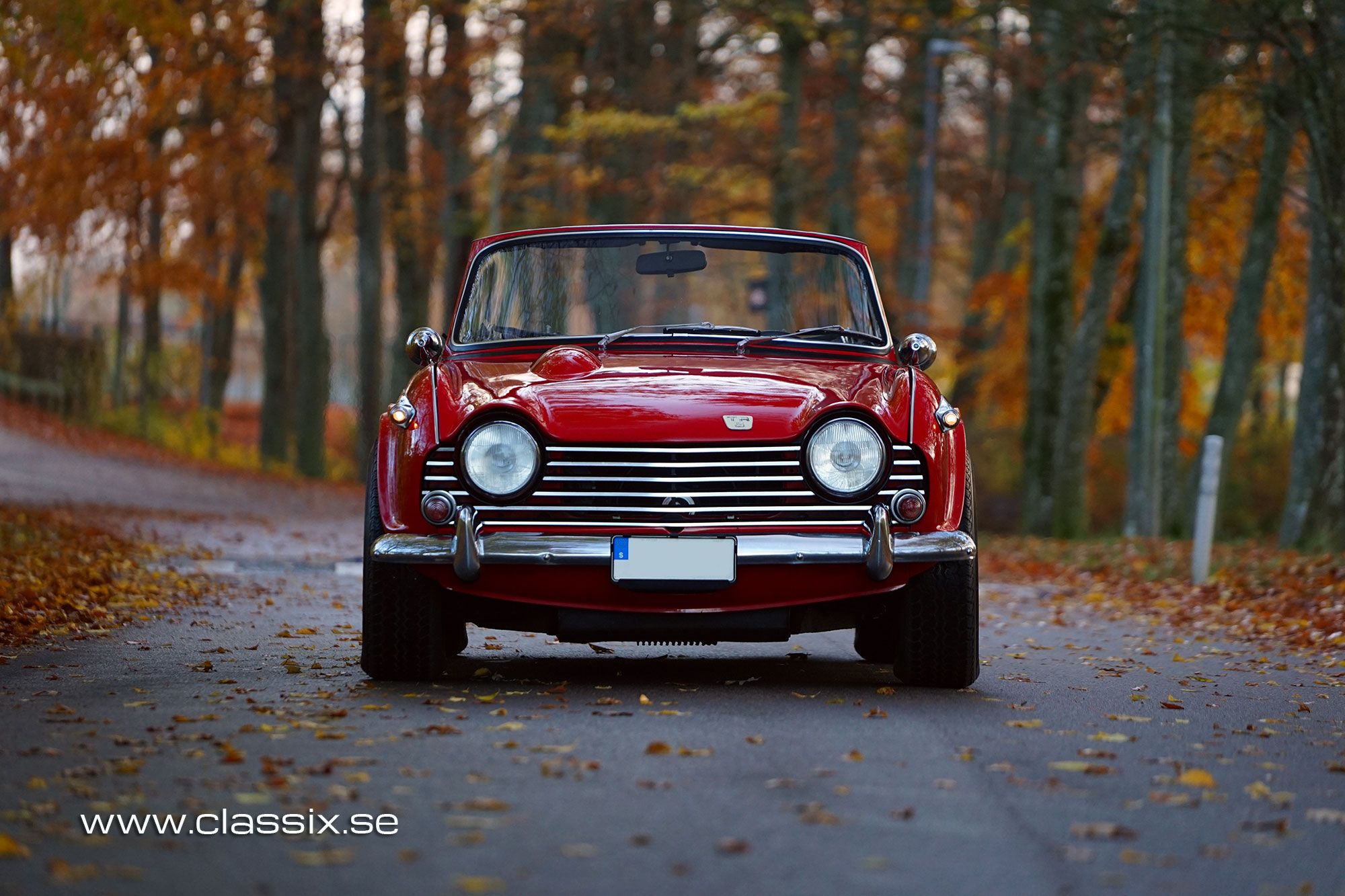 Triumph TR5 European model, foto 5