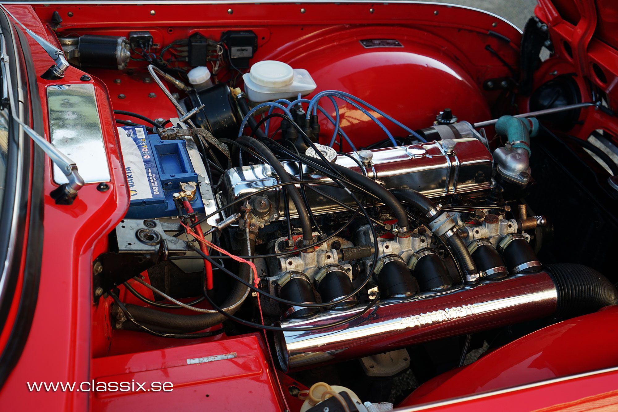 Triumph TR5 European model, foto 7