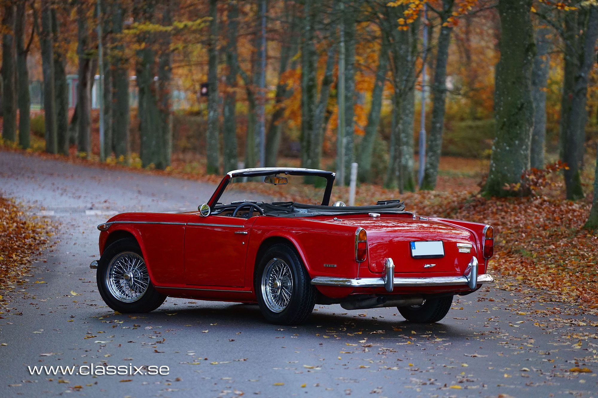 Triumph TR5 European model, foto 9
