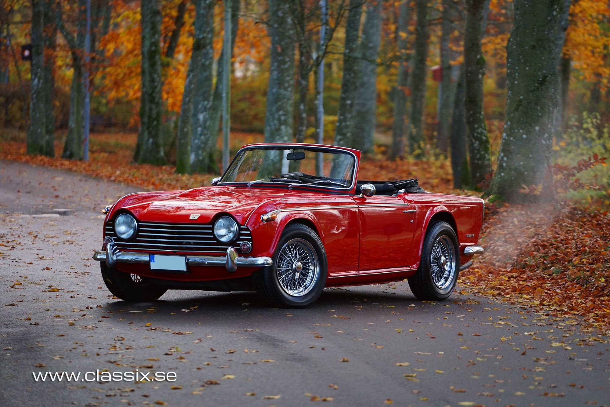 Triumph TR5 European model, foto 10