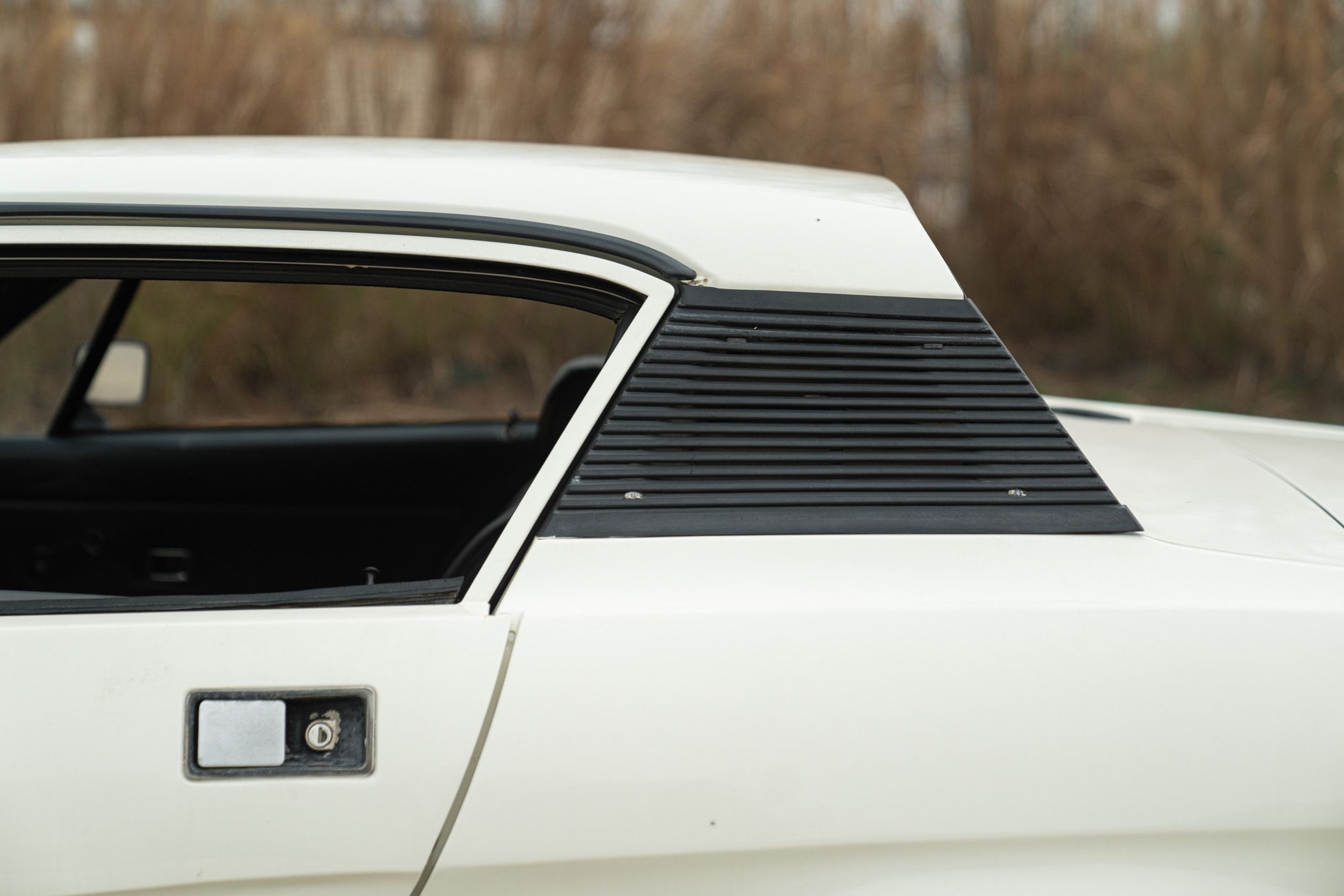 1977 Triumph TR7, foto 12