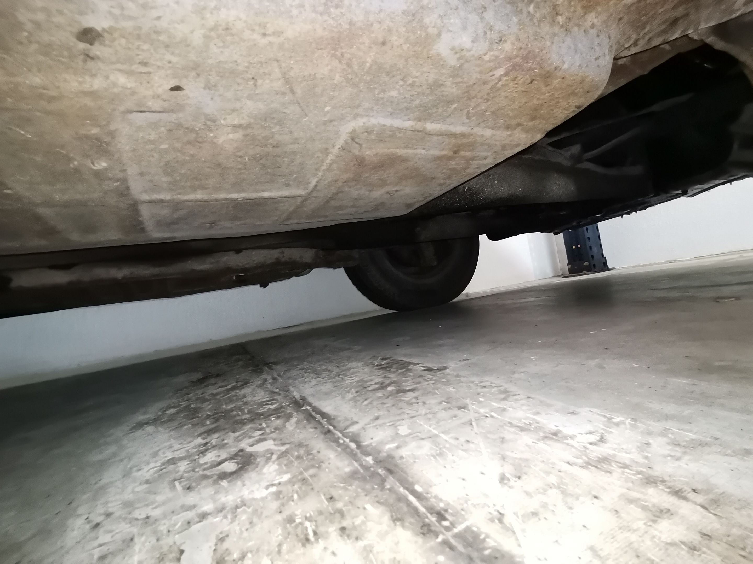 VW BEETLE OVAL, foto 10