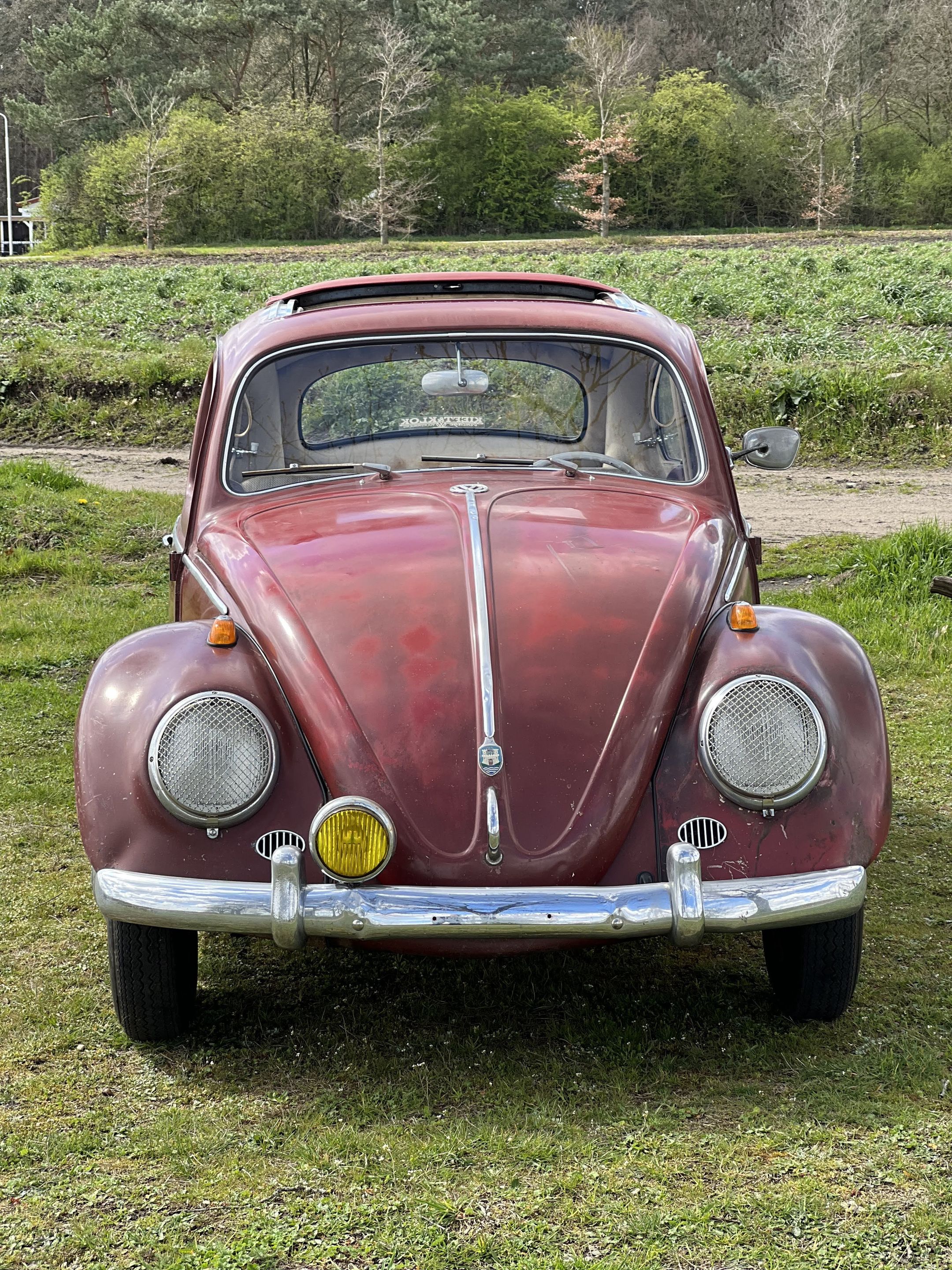 VW beetle ragtop, Faltdach Käfer, Vouwdak kever, foto 9