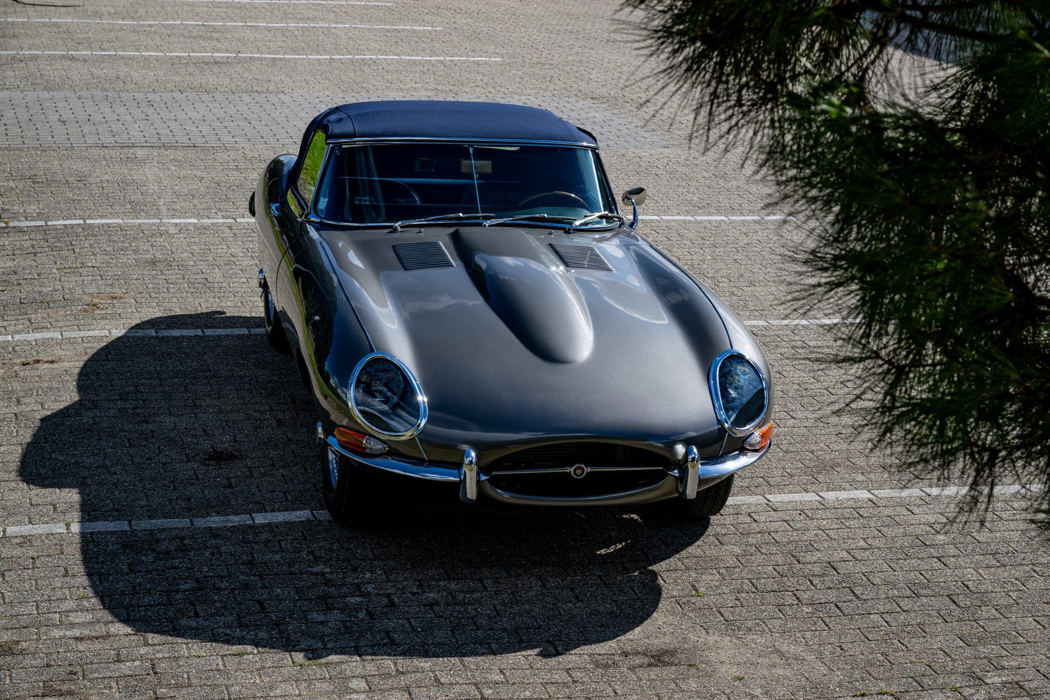 1965 Jaguar E-Type S1 Roadster, foto 3