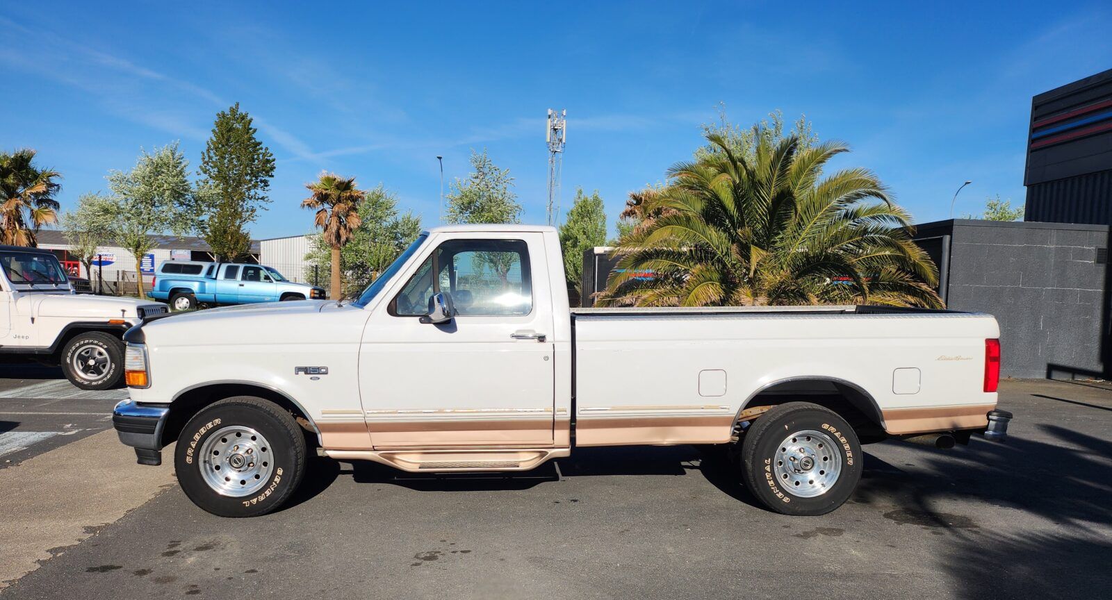 1996 Ford F-150 Eddie Bauer, foto 3