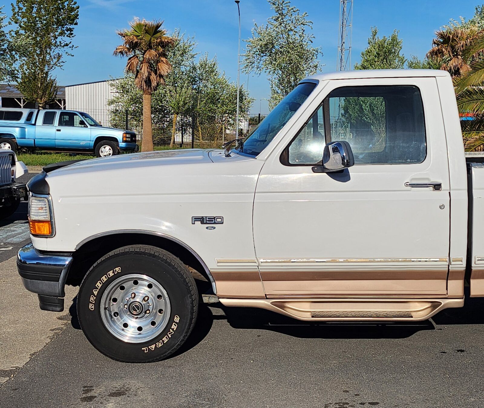 1996 Ford F-150 Eddie Bauer, foto 8