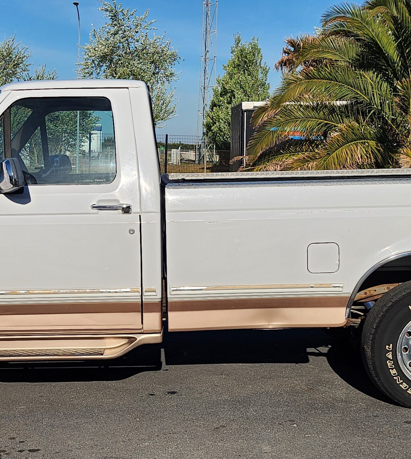 1996 Ford F-150 Eddie Bauer, foto 9