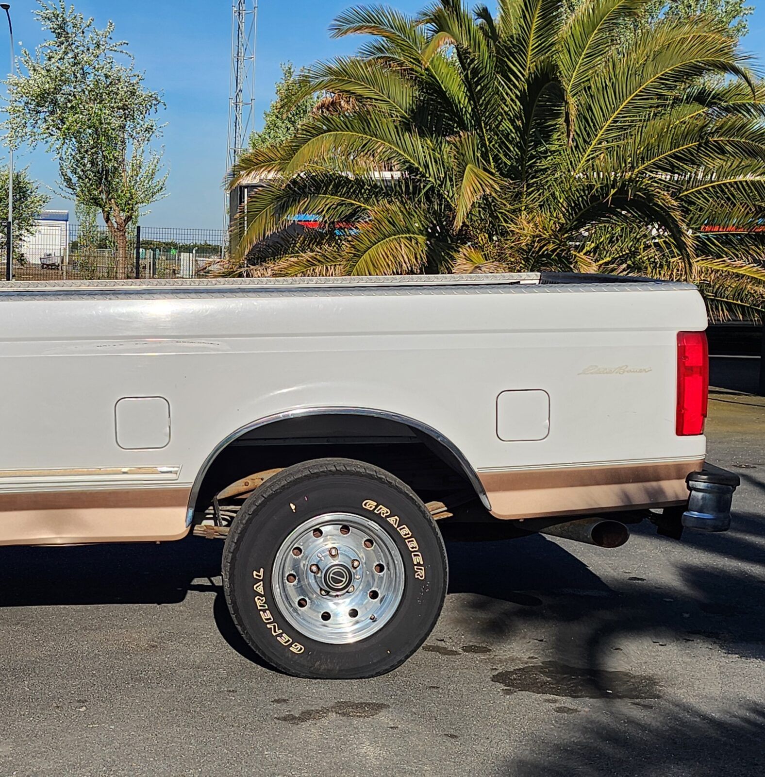 1996 Ford F-150 Eddie Bauer, foto 10
