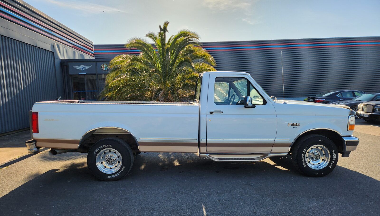 1996 Ford F-150 Eddie Bauer, foto 11