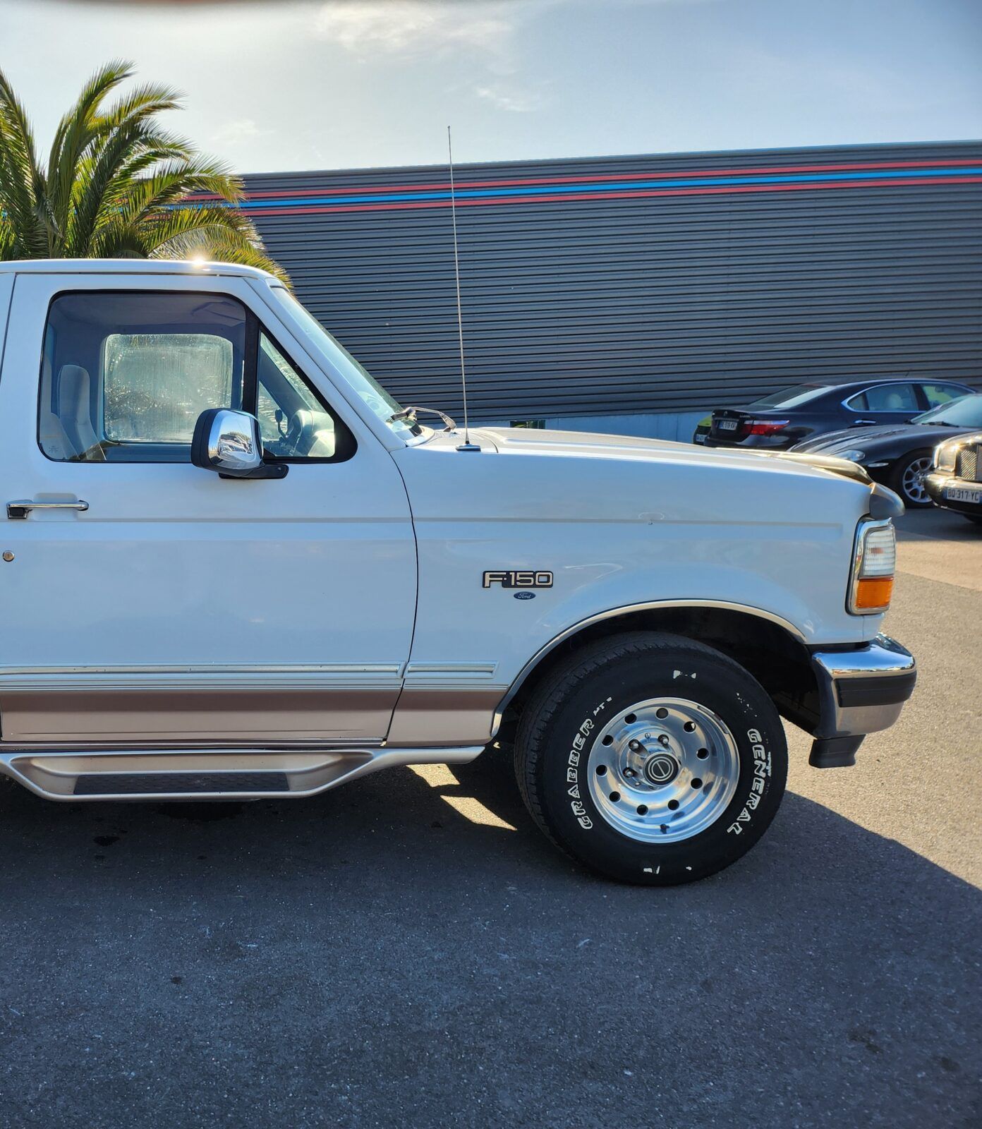 1996 Ford F-150 Eddie Bauer, foto 12