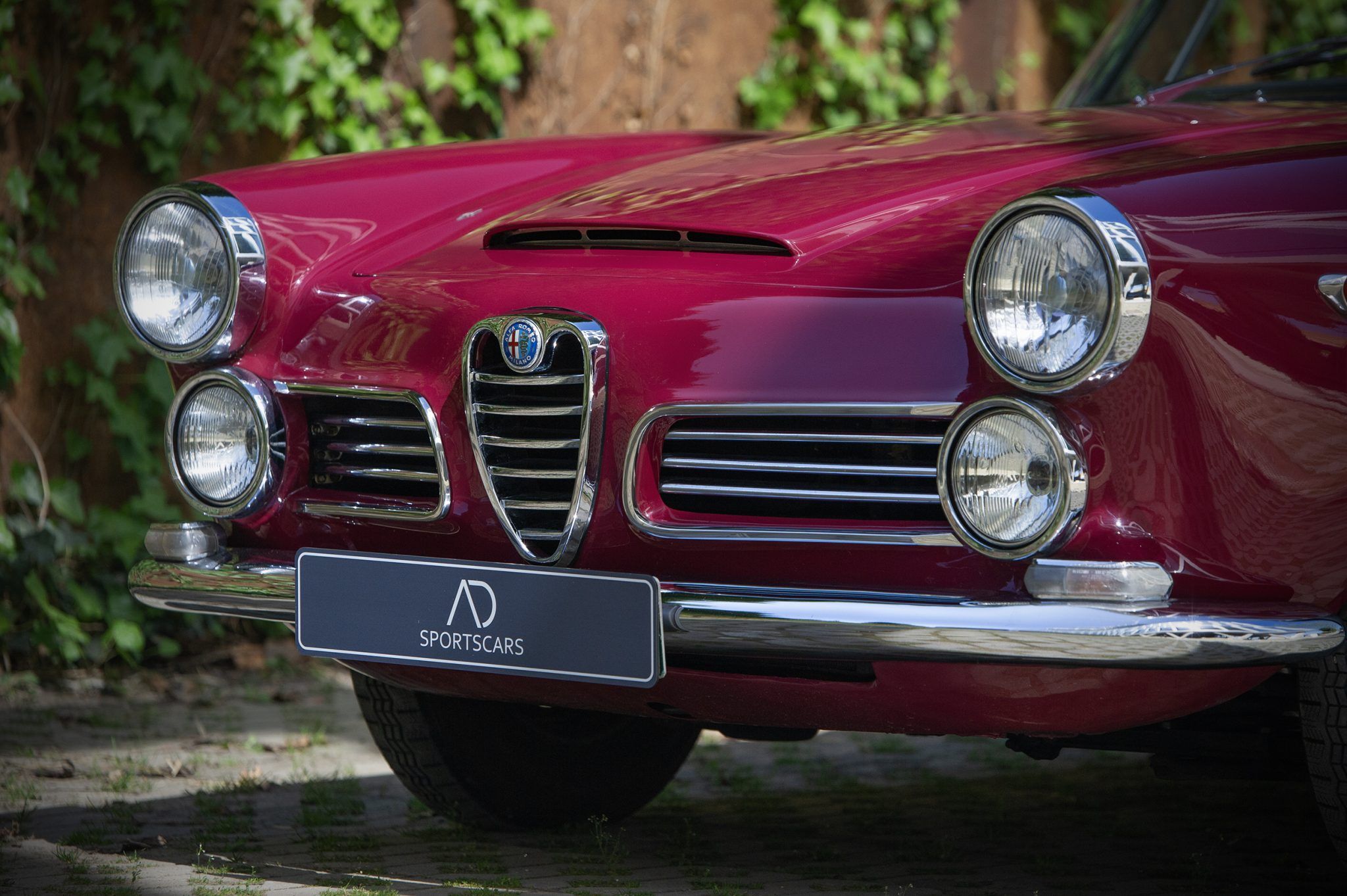 1966 Alfa Romeo 2600 Touring Superleggera, foto 4