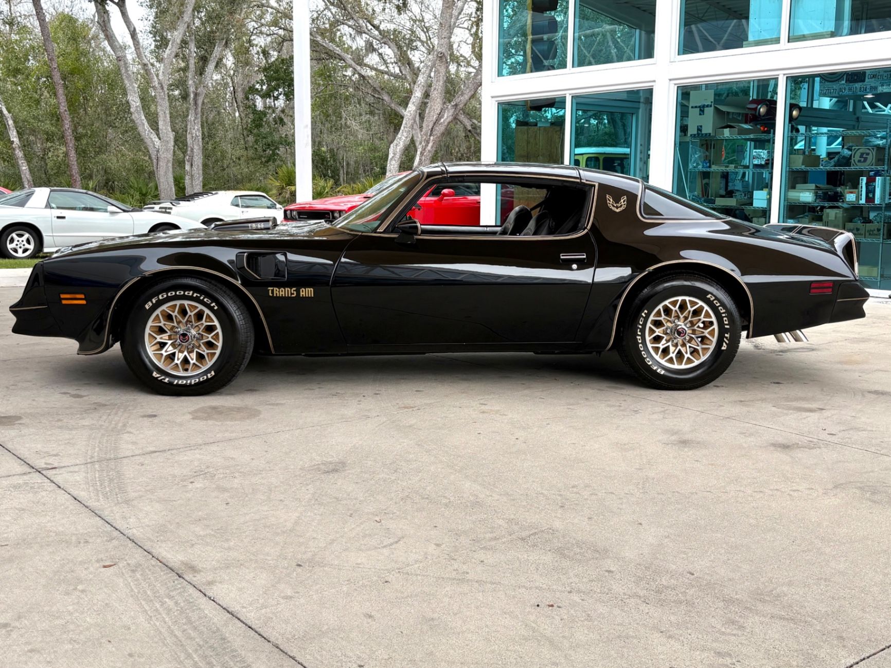 1977 Pontiac Firebird Trans Am, foto 11
