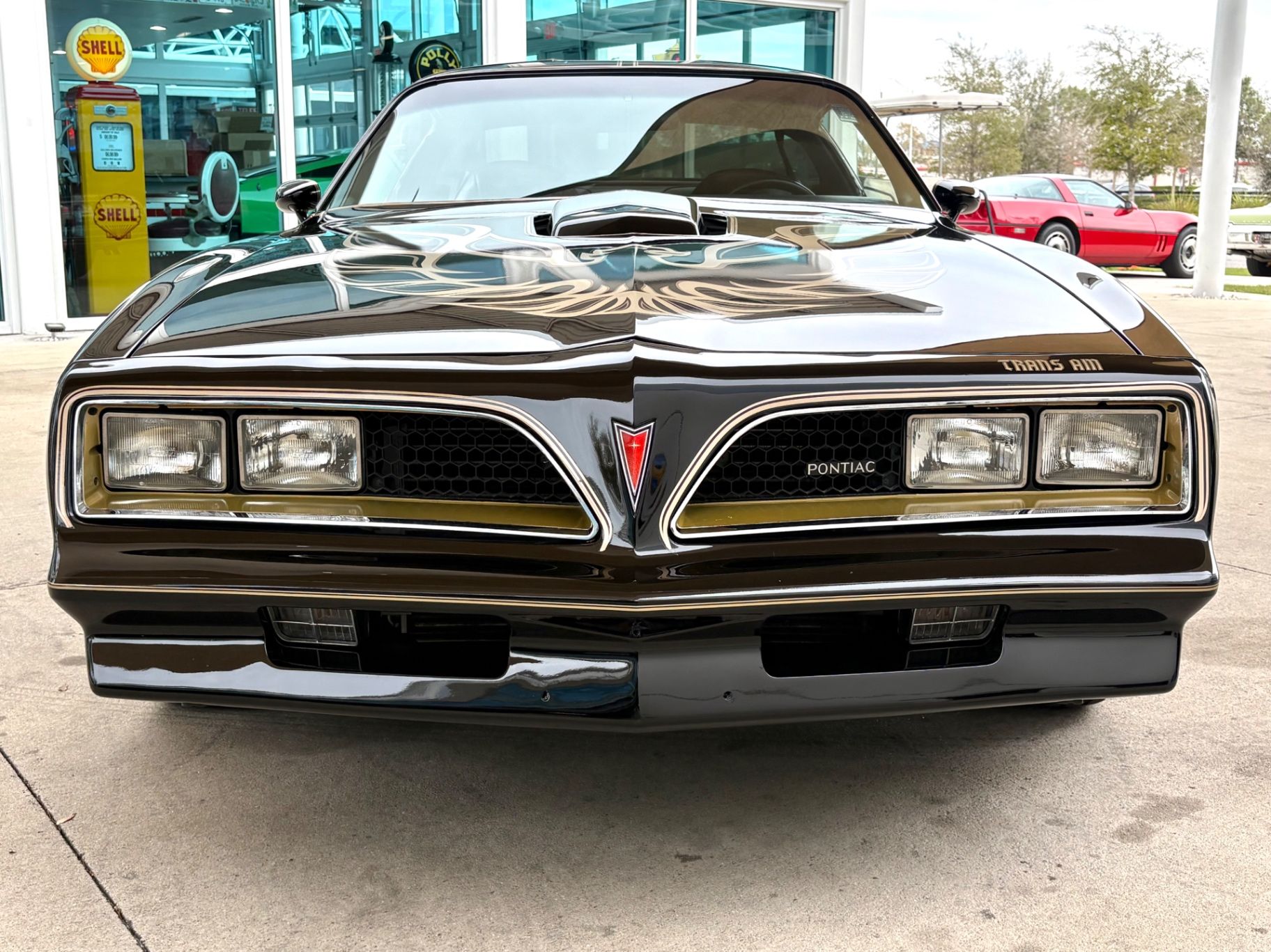 1977 Pontiac Firebird Trans Am, foto 2