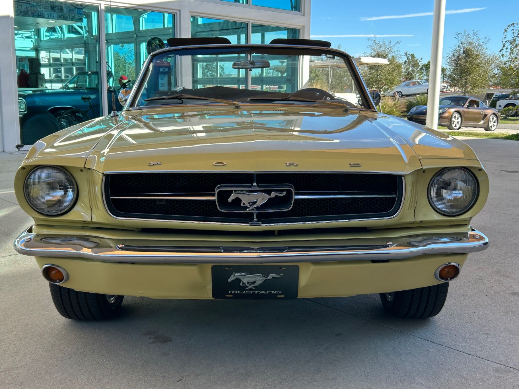 1965 Ford Mustang Base, foto 2